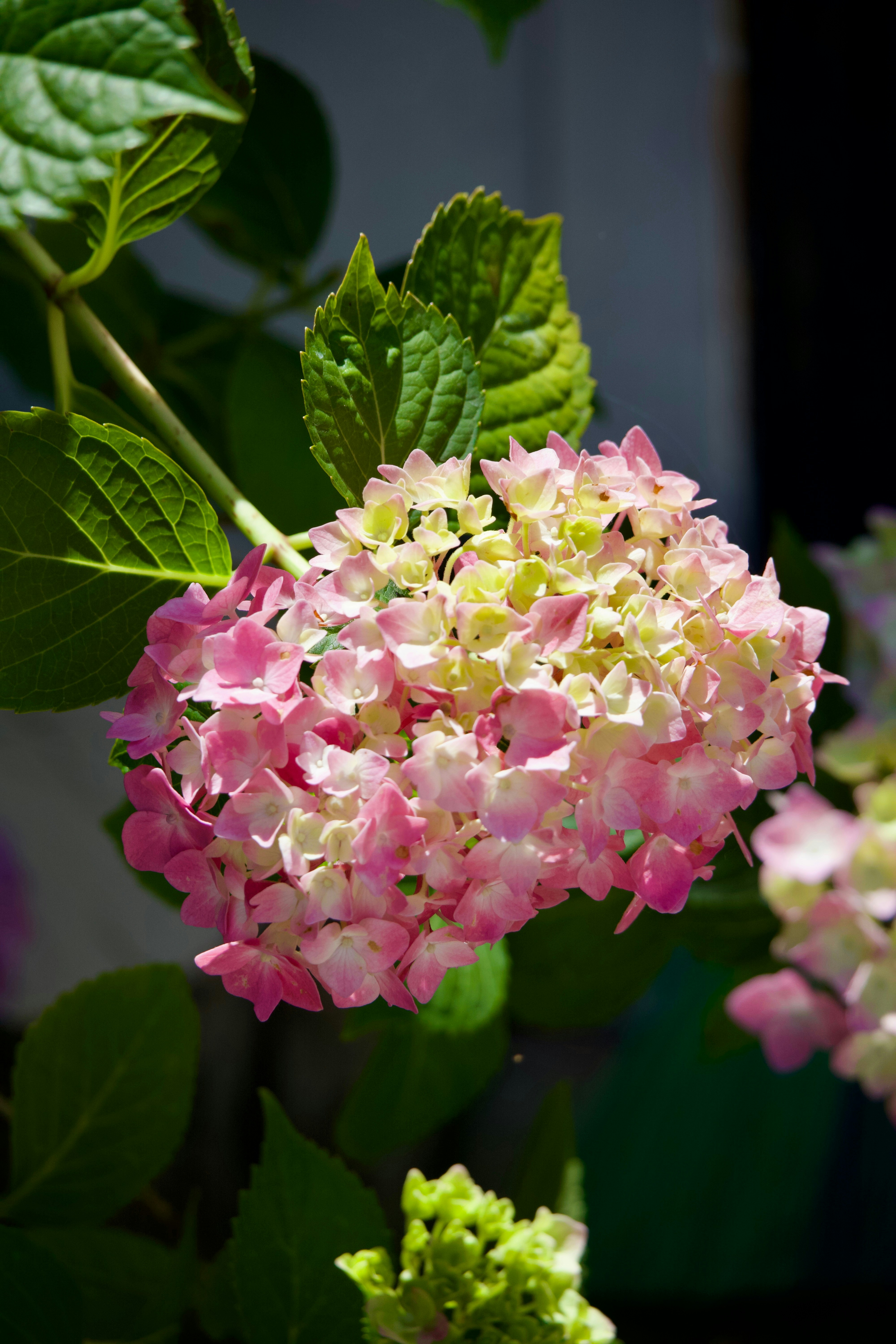 Photo by sarguninder