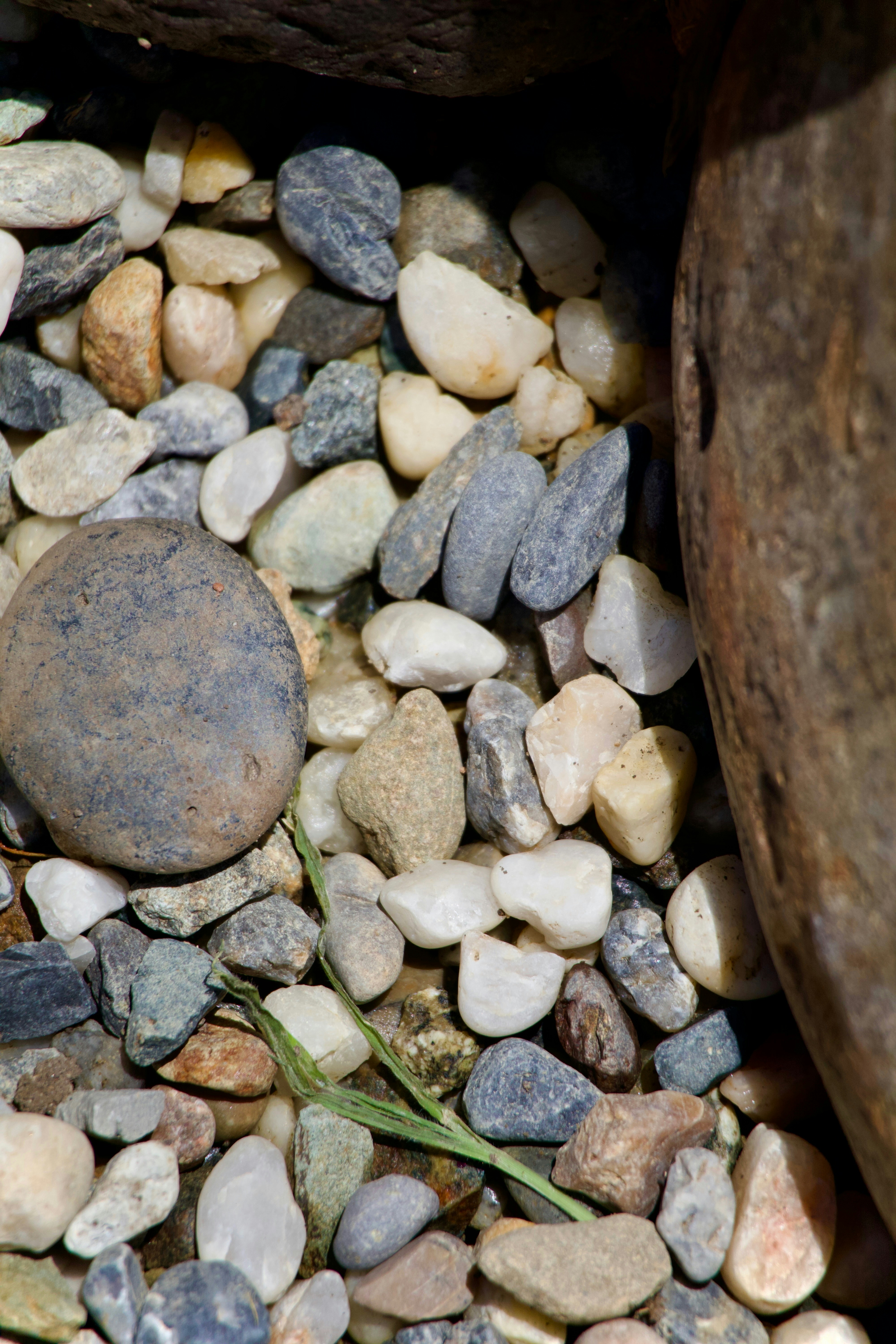 Photo by sarguninder