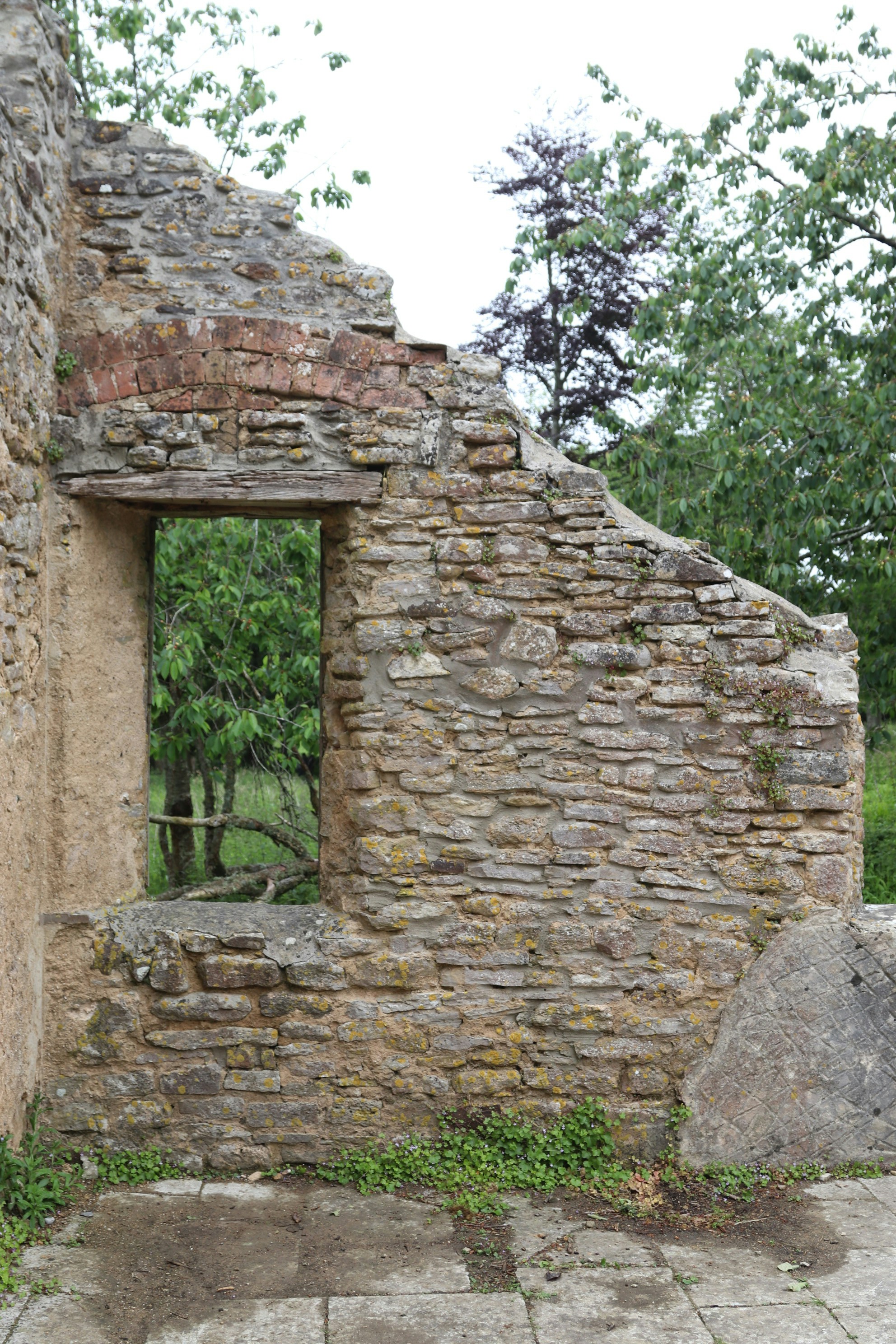 Photo by tanyabarrow