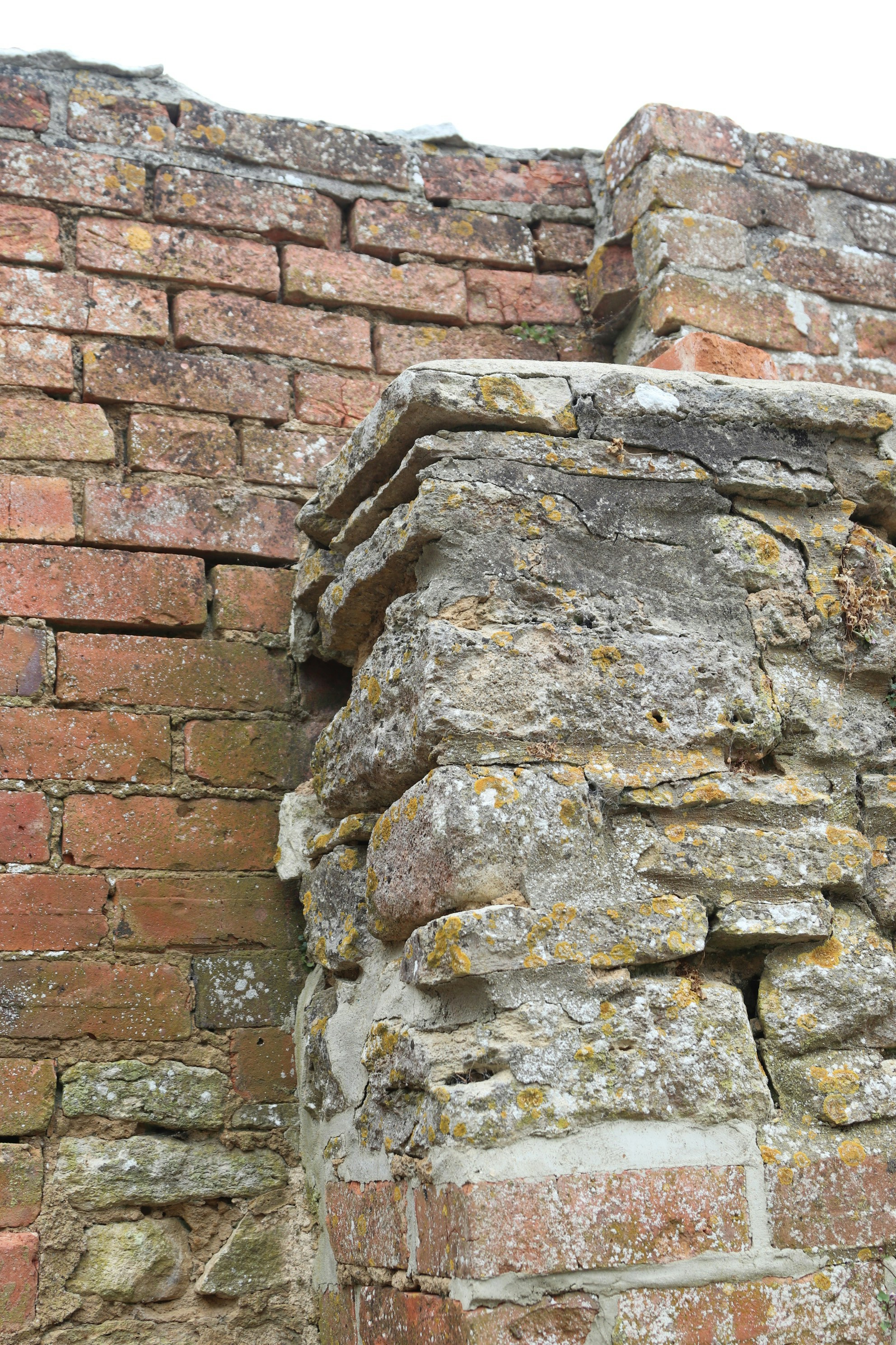 Photo by tanyabarrow