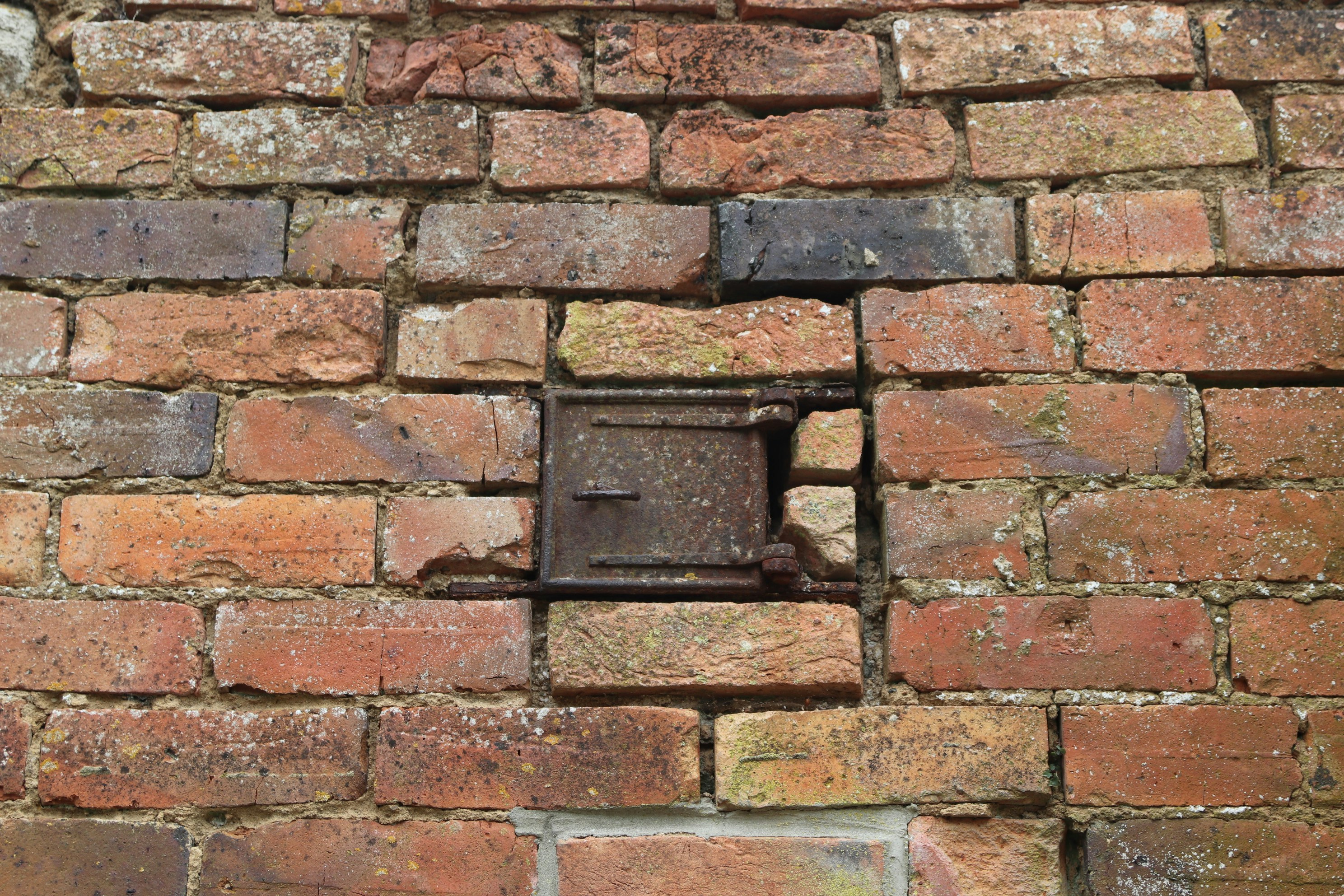 Photo by tanyabarrow