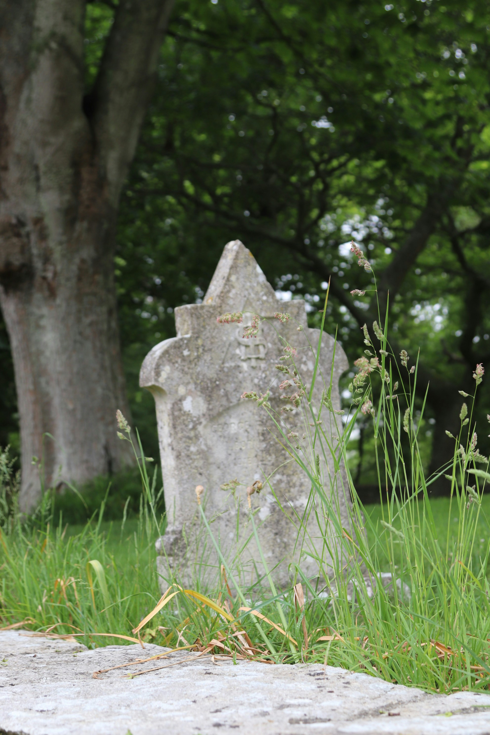 Photo by tanyabarrow