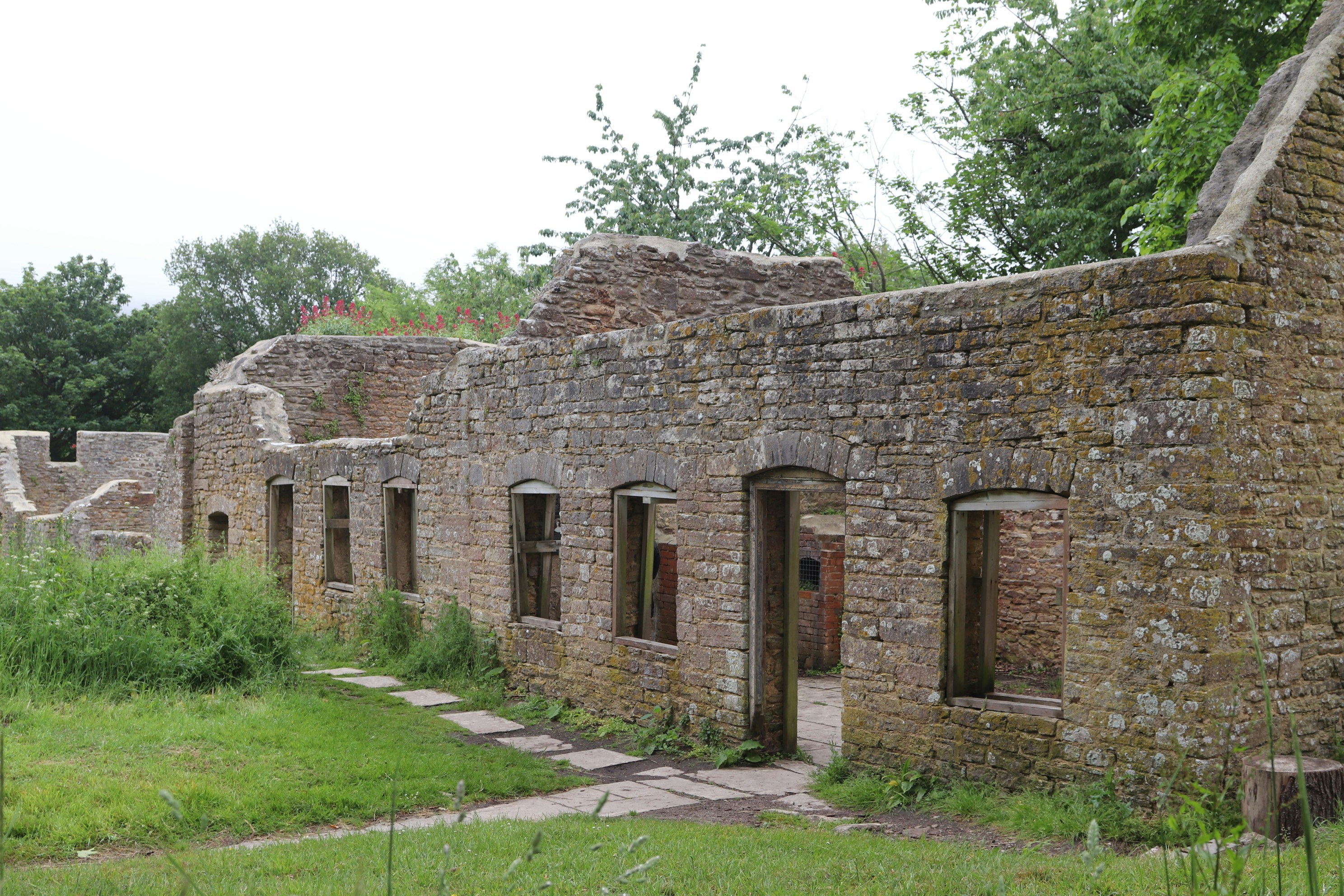 Photo by tanyabarrow