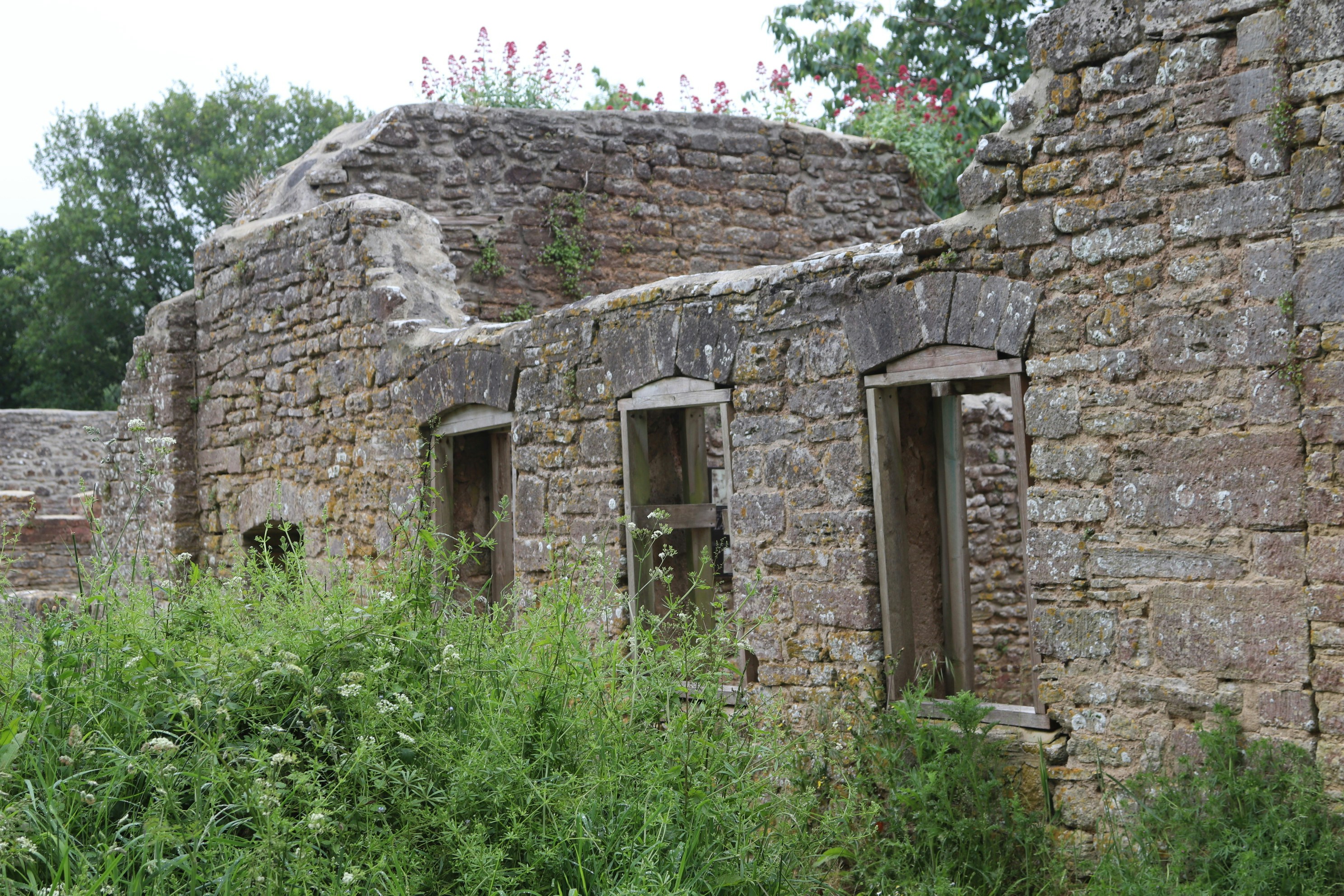 Photo by tanyabarrow