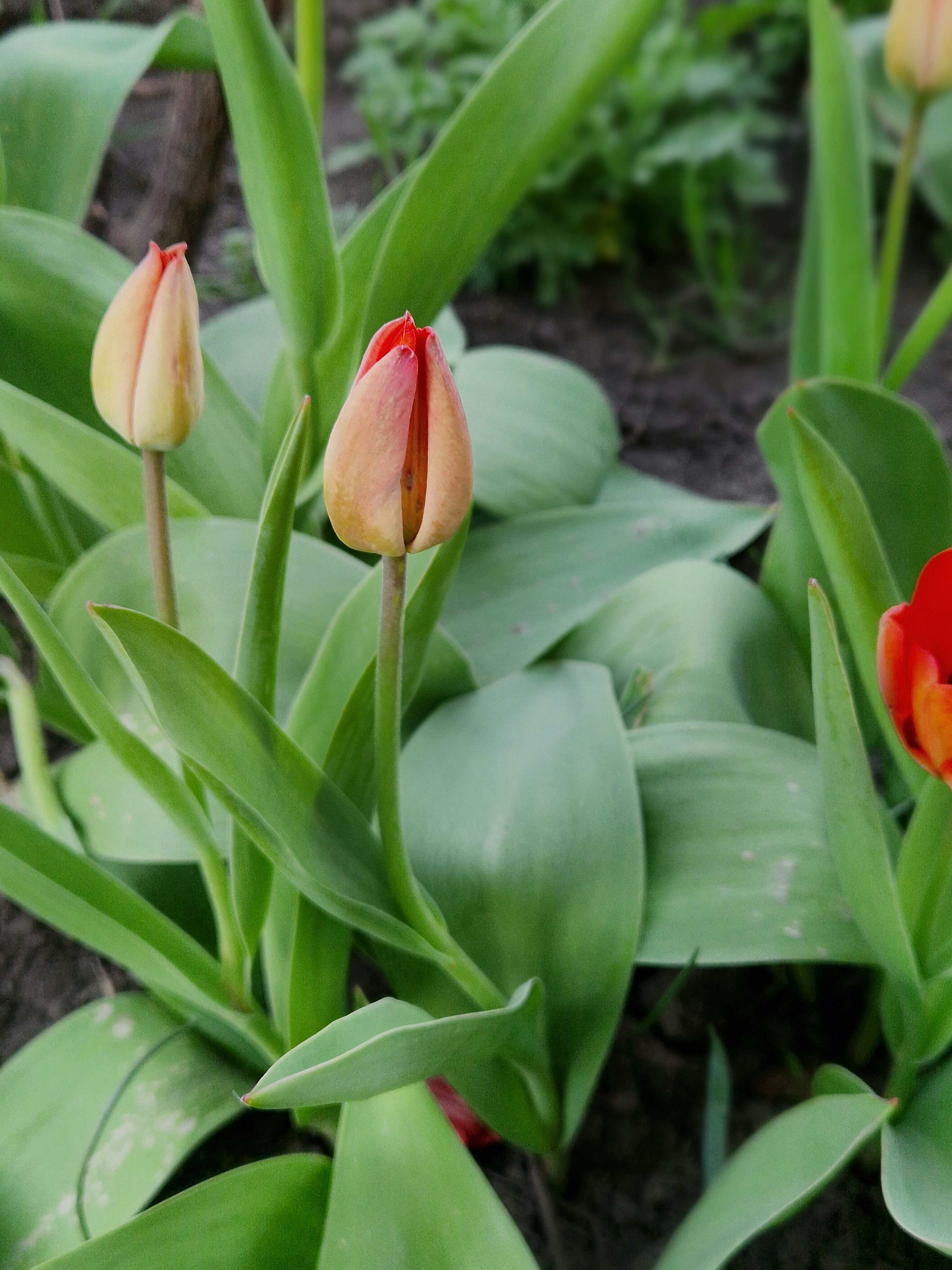 Photo by dmushtaieva