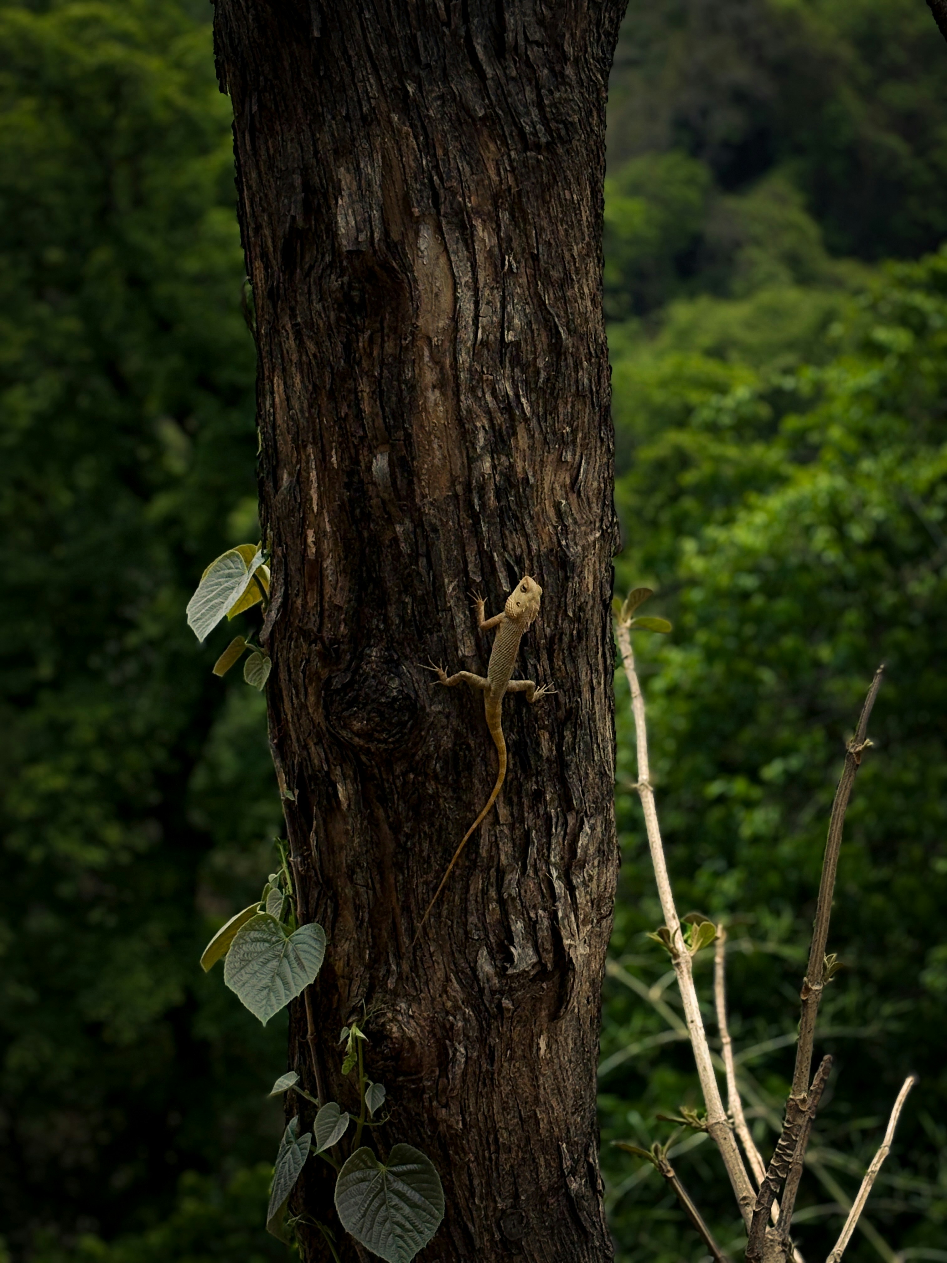 Photo by aniket706
