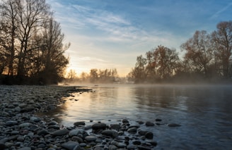 A river flows through the misty morning.