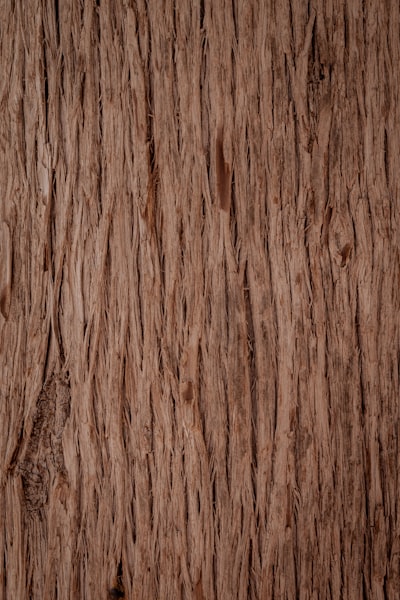 Mahogany tree bark