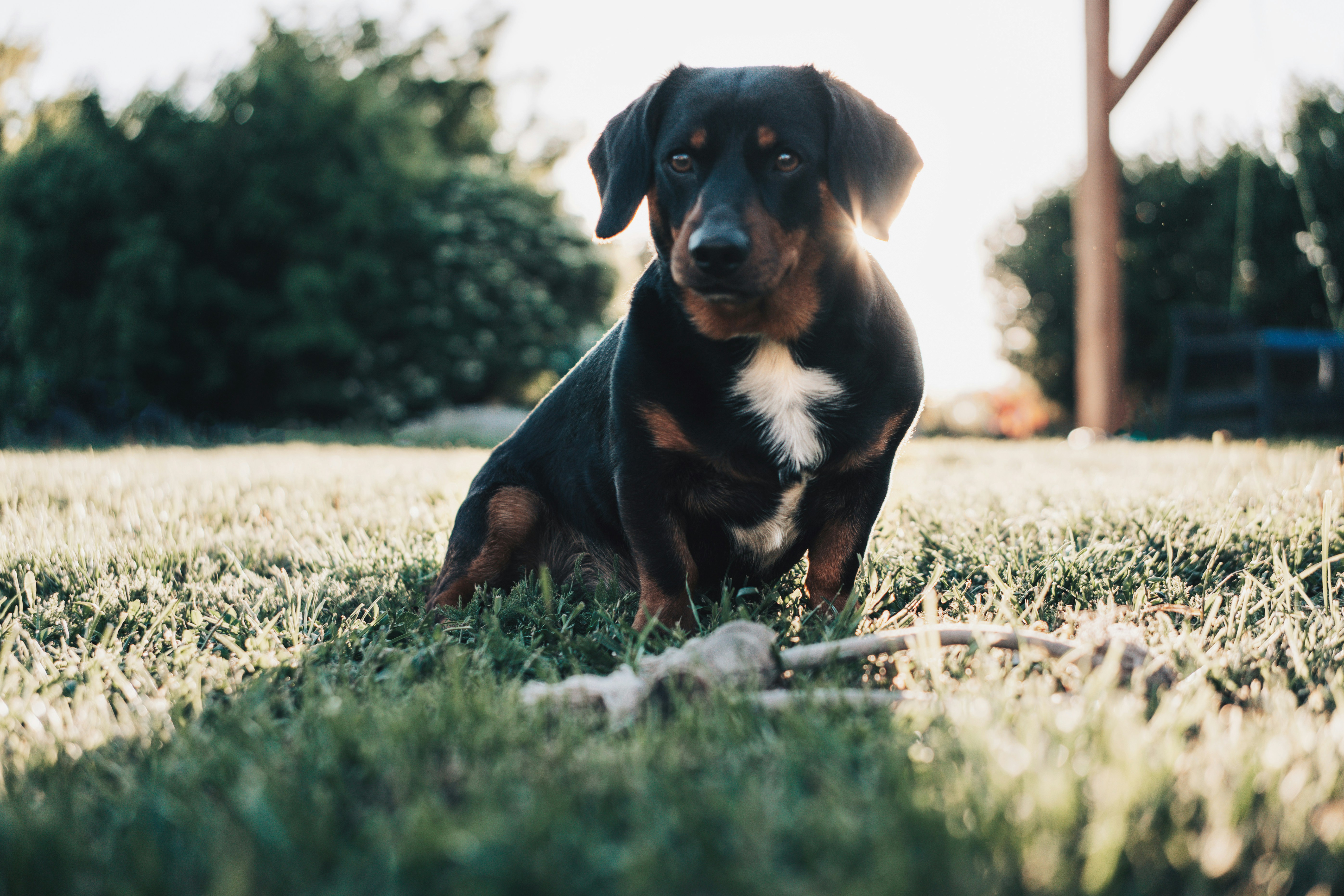 Photo by annaspoljar