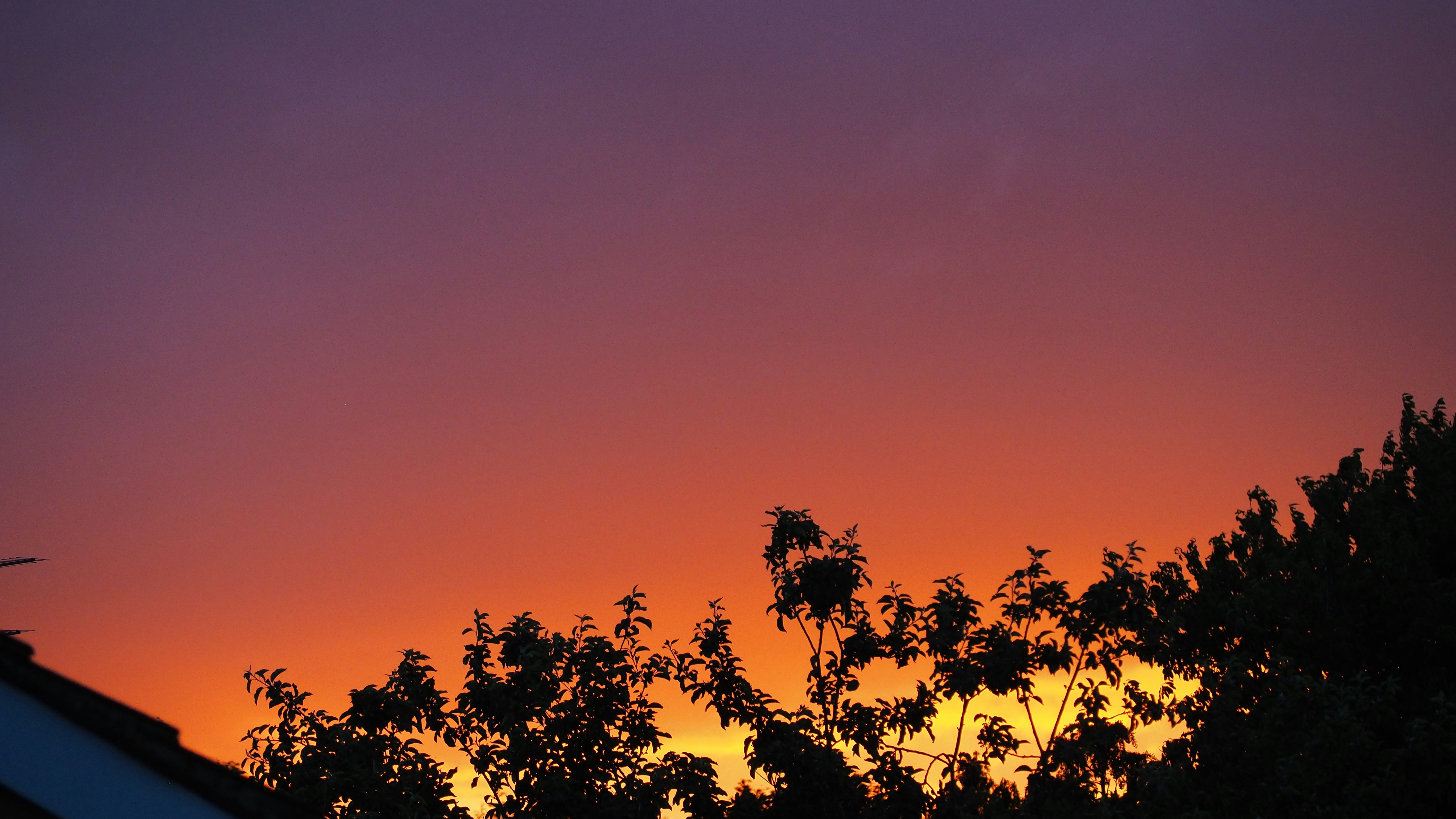 Photo by cobaltshirt