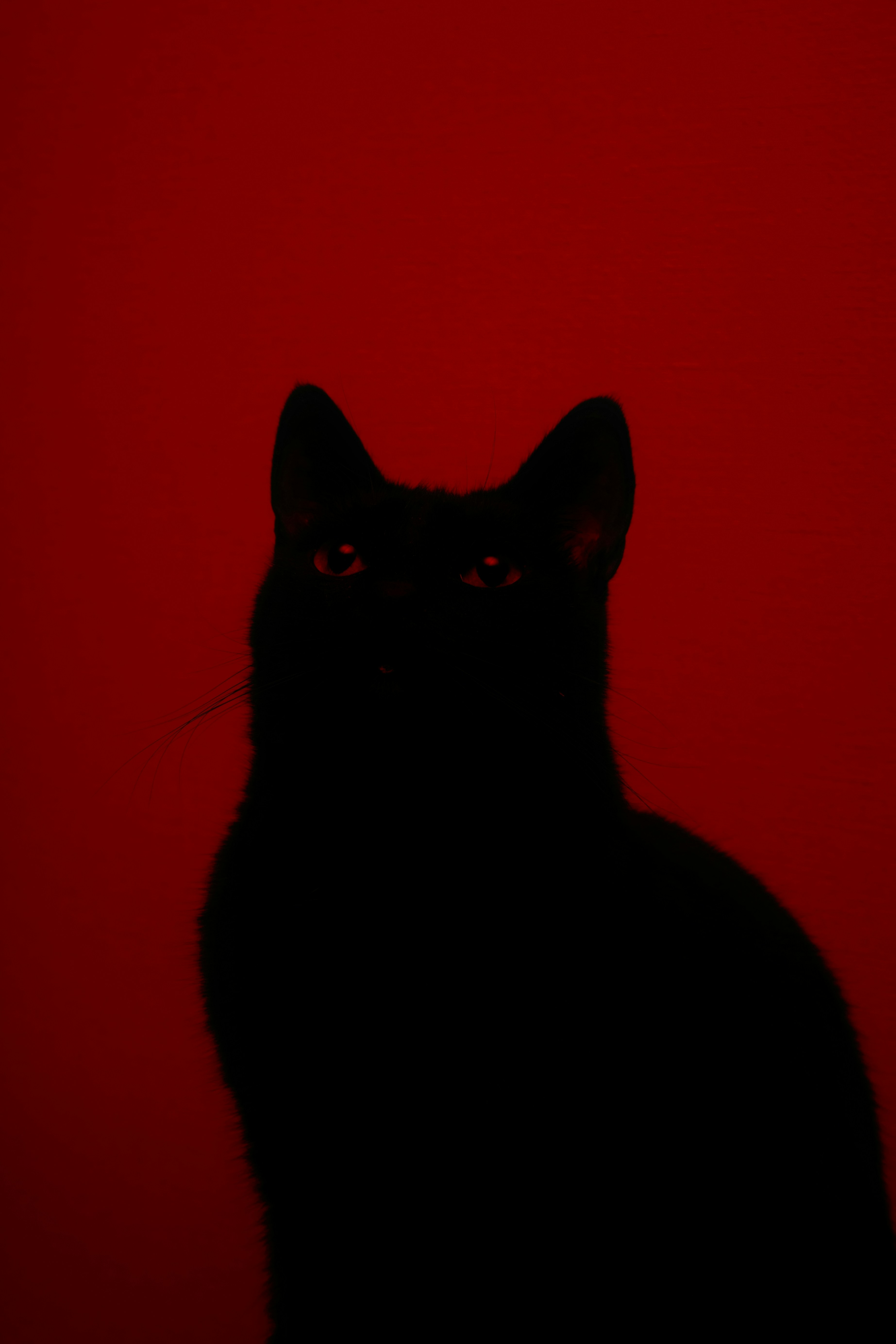 Photo by lvovandrewph