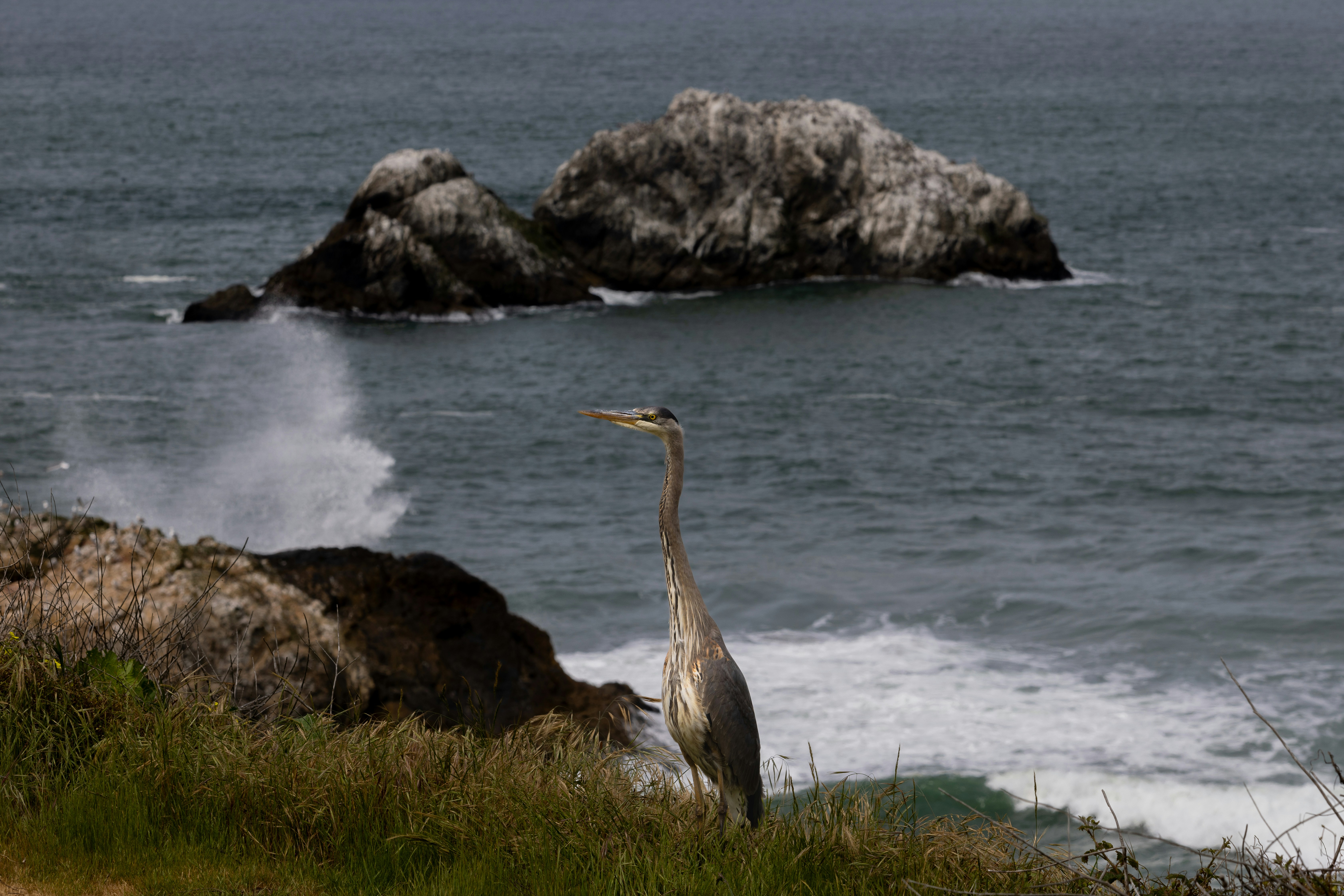 California