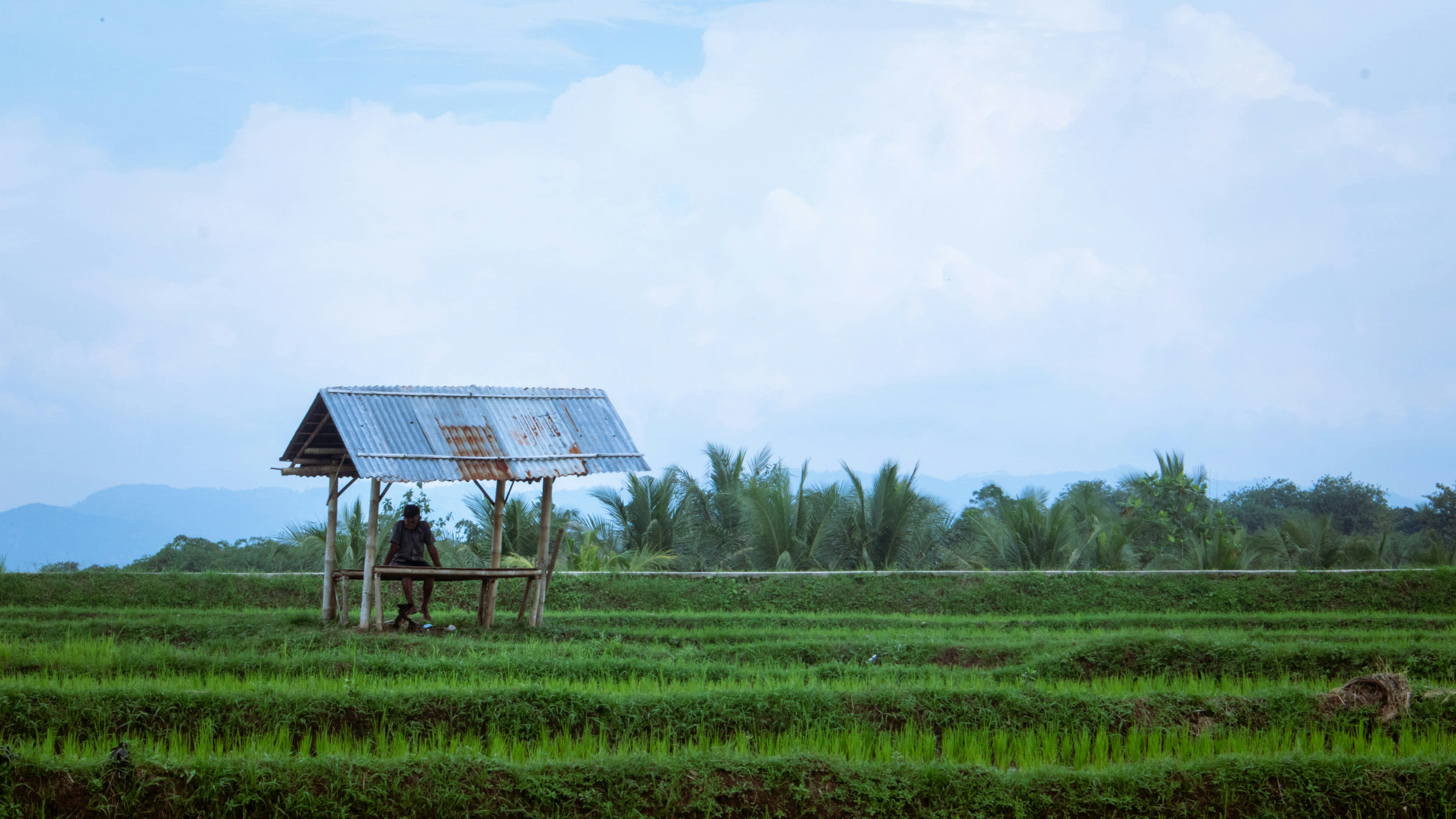 Photo by efsanjoisiringoringo