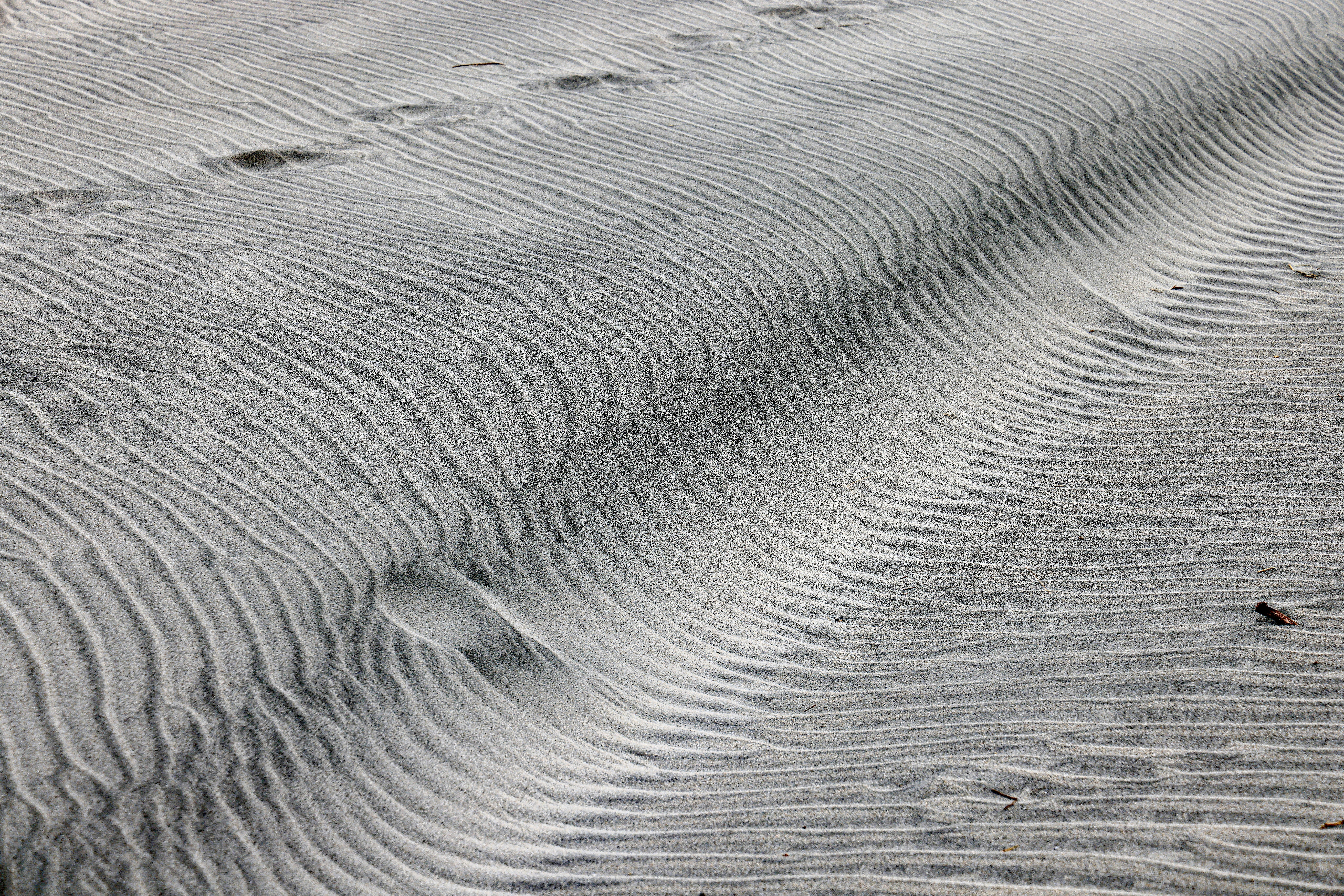 Photo by maximilian_brand