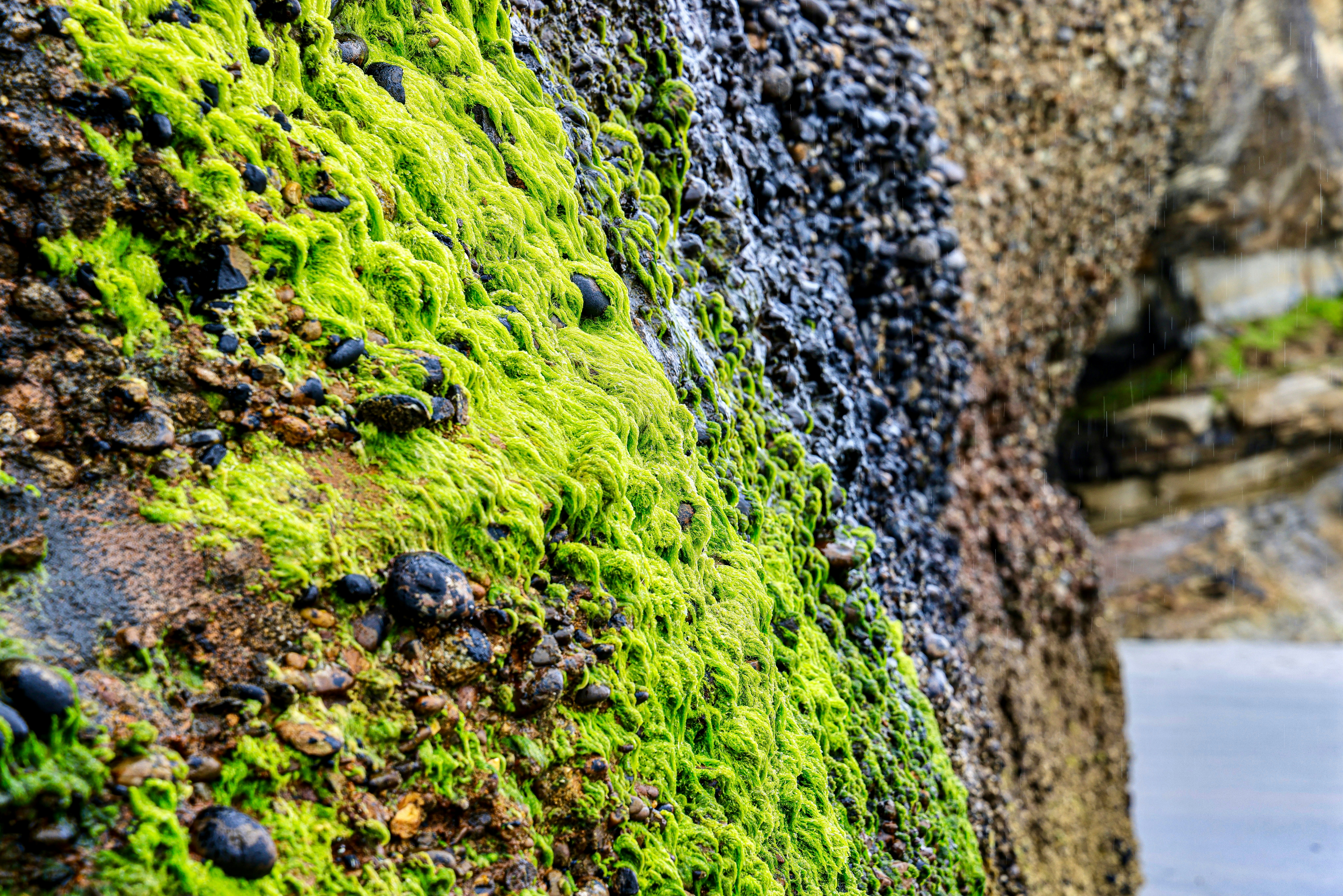 Photo by maximilian_brand