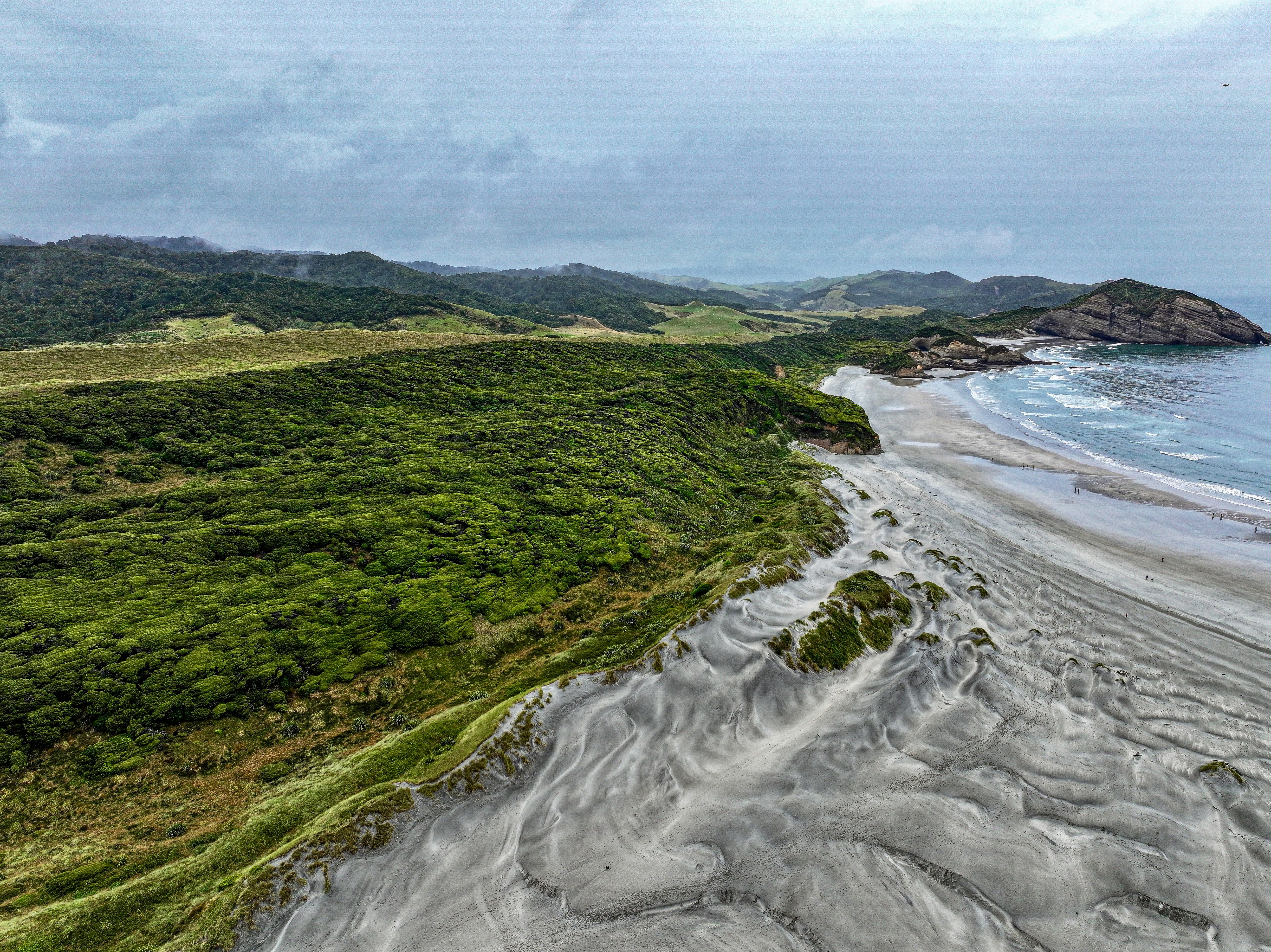 Una bellissima spiaggia e un paesaggio verde.