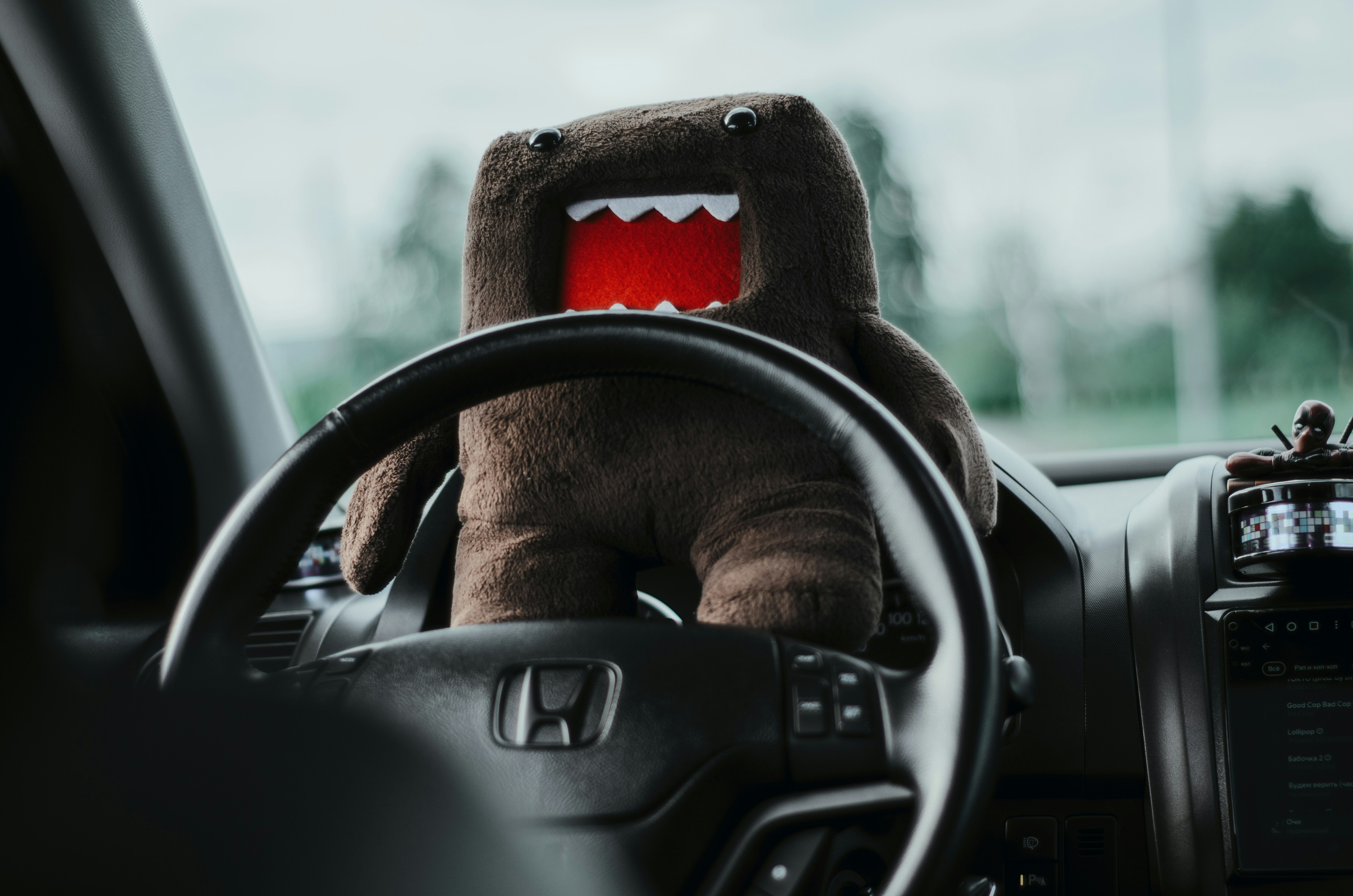 Domo is driving a car!
