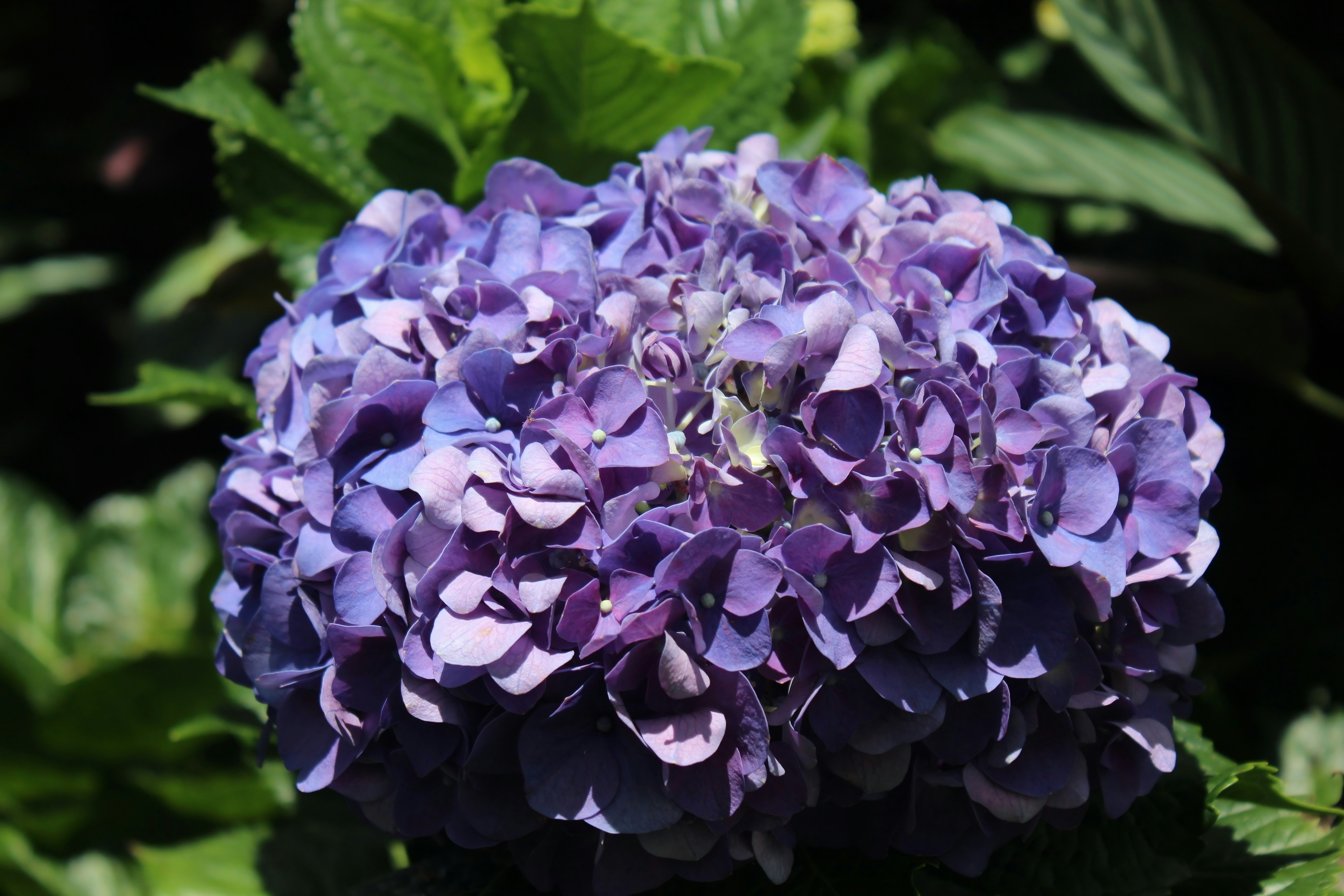 Photo by russellphotograpy