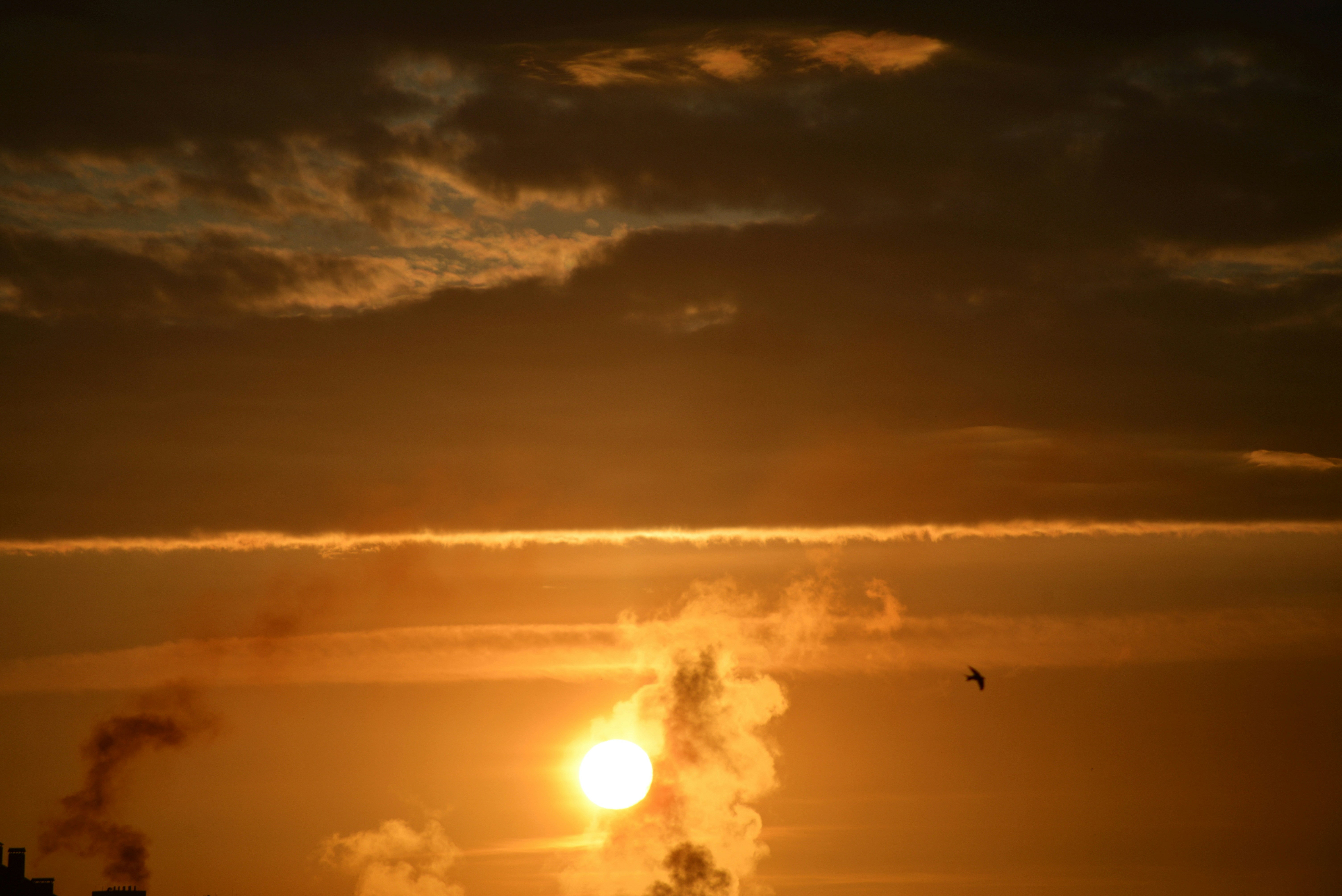 Photo by cherstve_pechivo