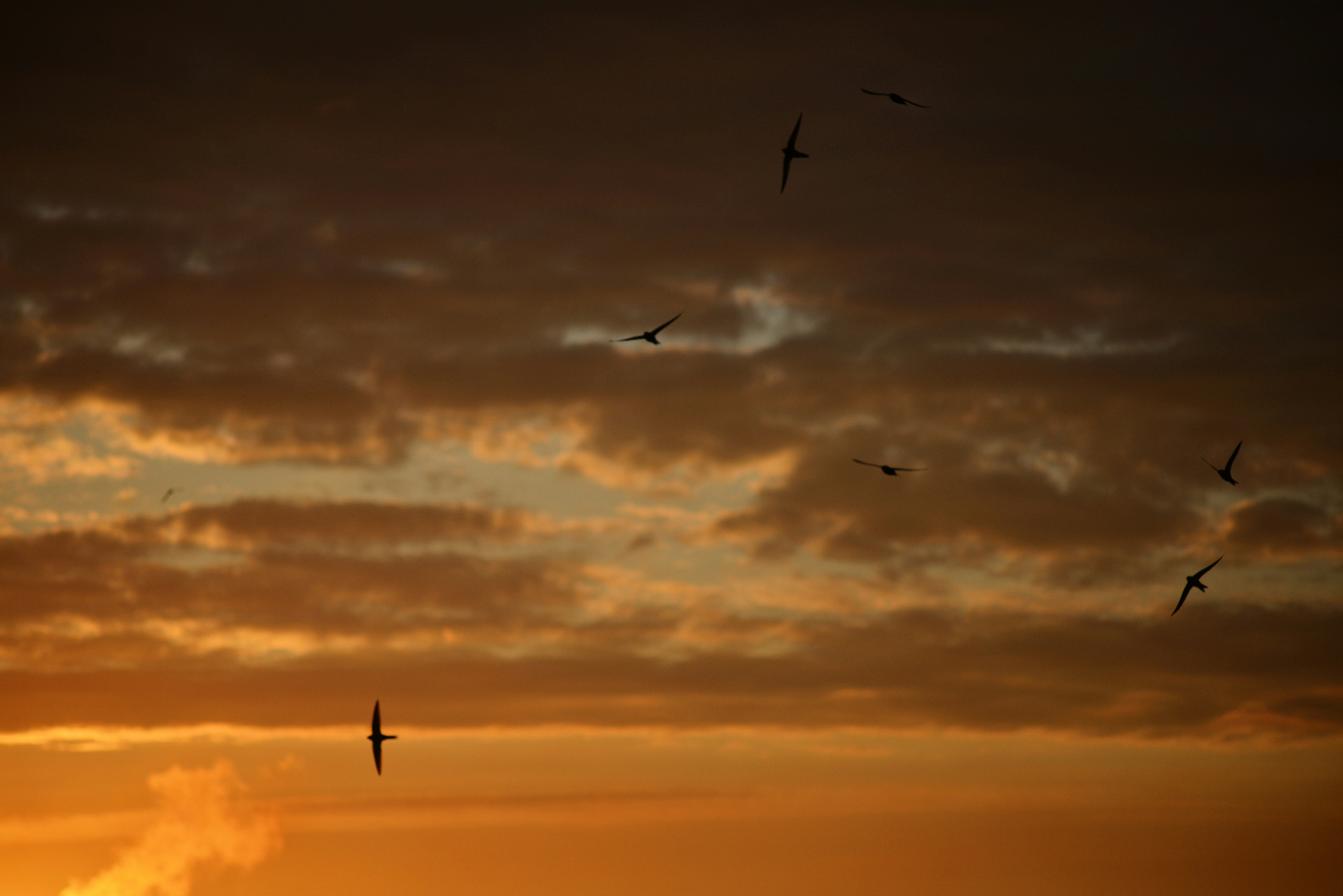 Photo by cherstve_pechivo