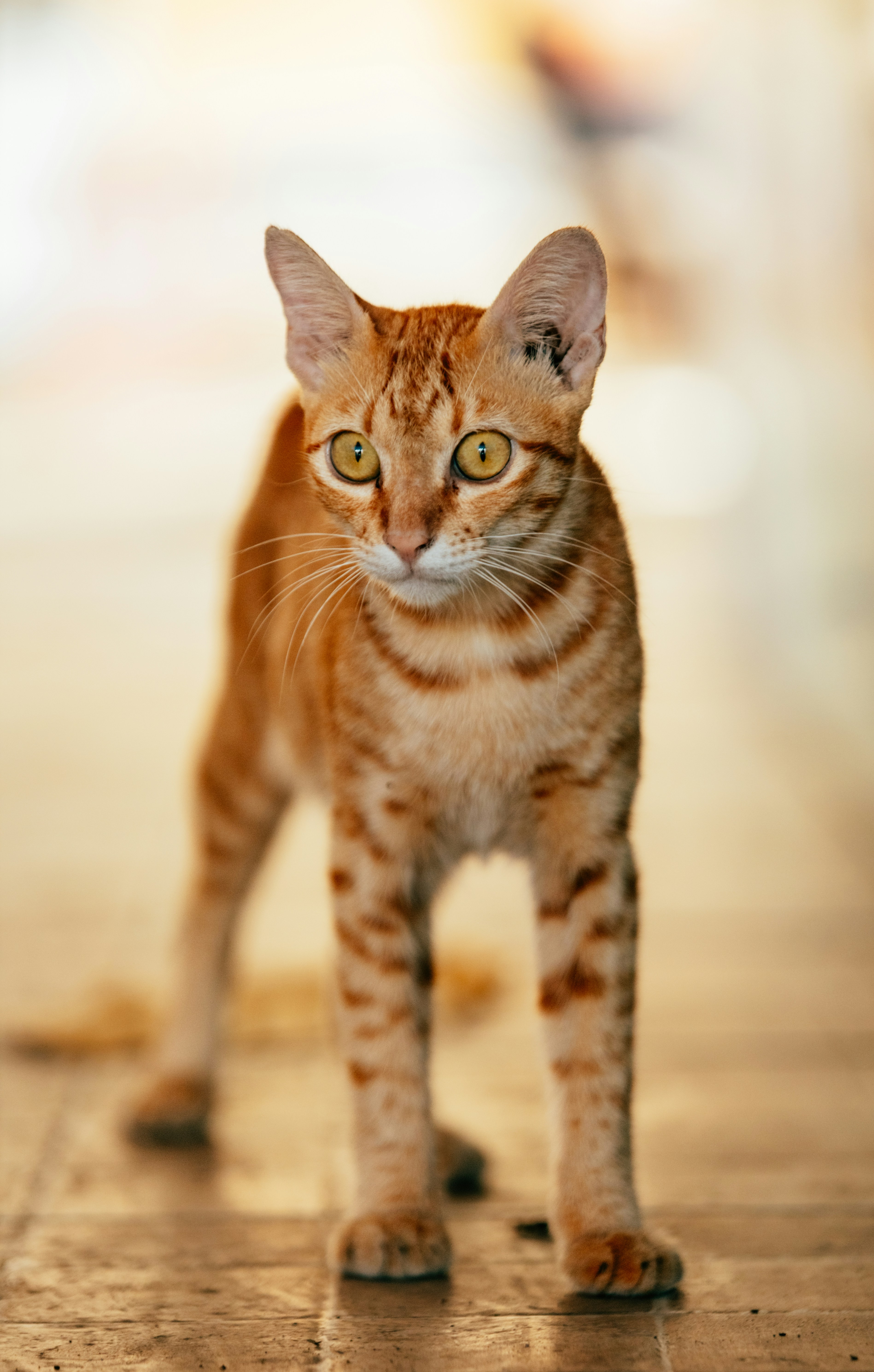 Photo by chuchu123456