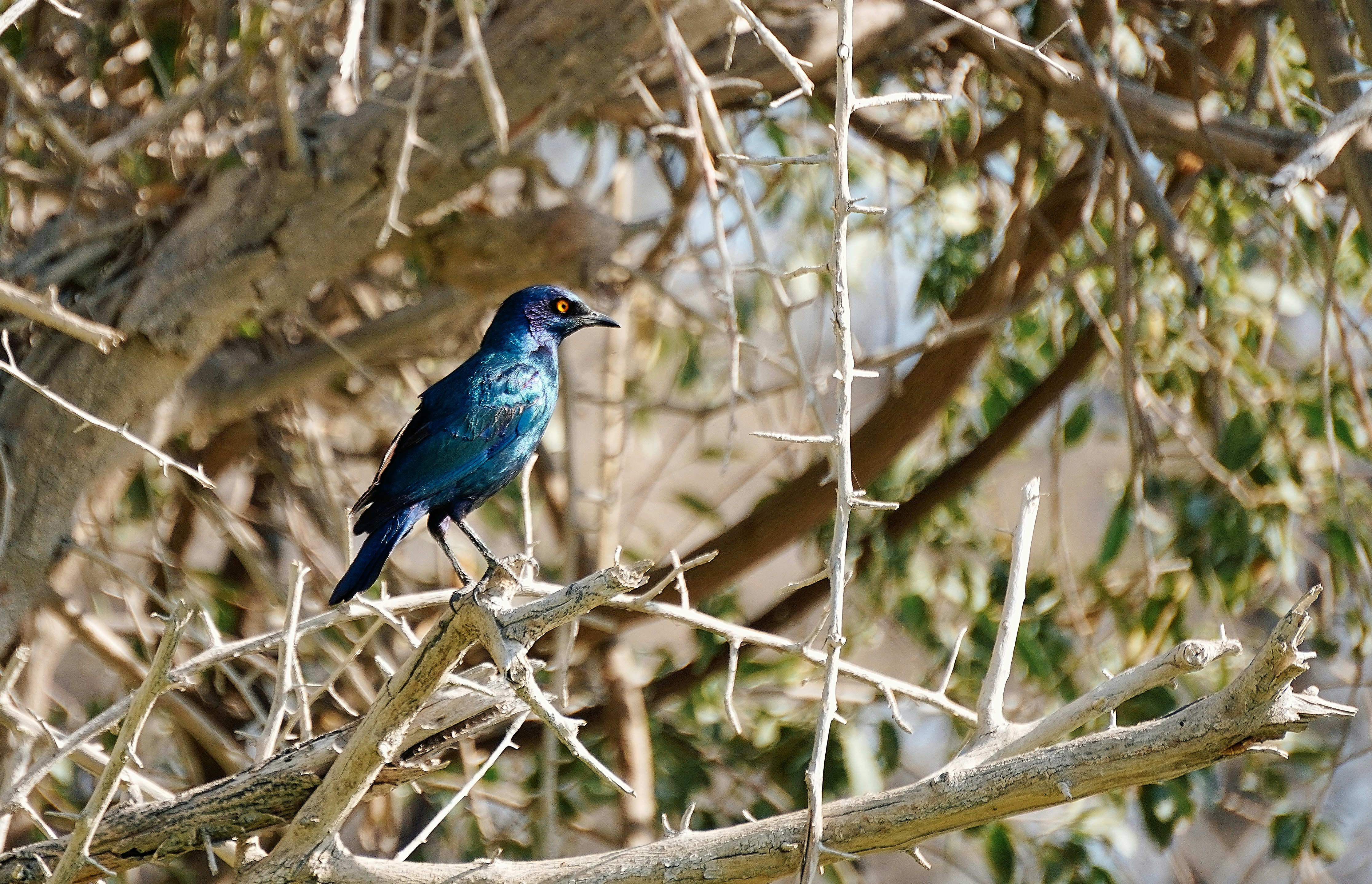 Photo by worldchris75