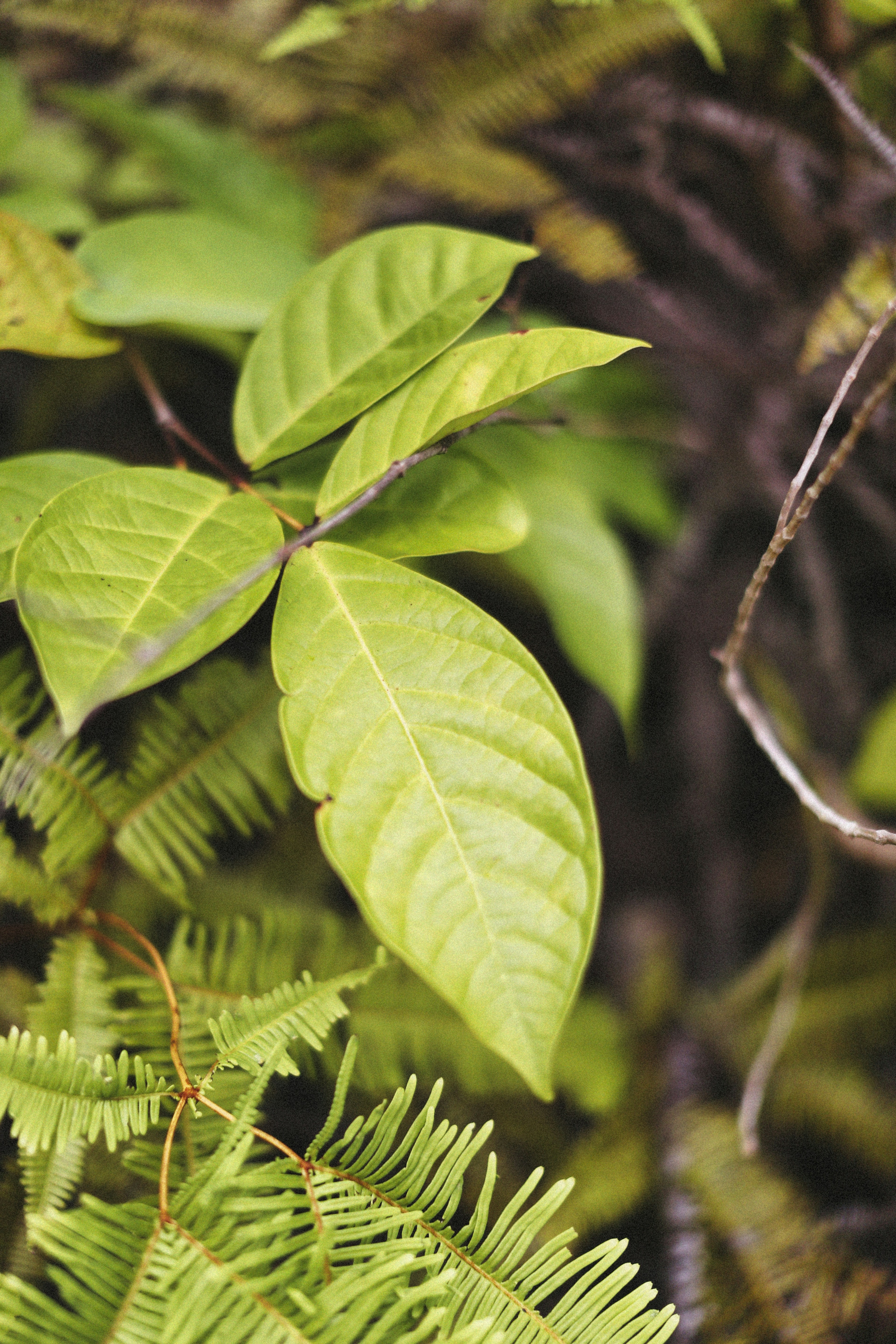 Photo by alexeydemidov