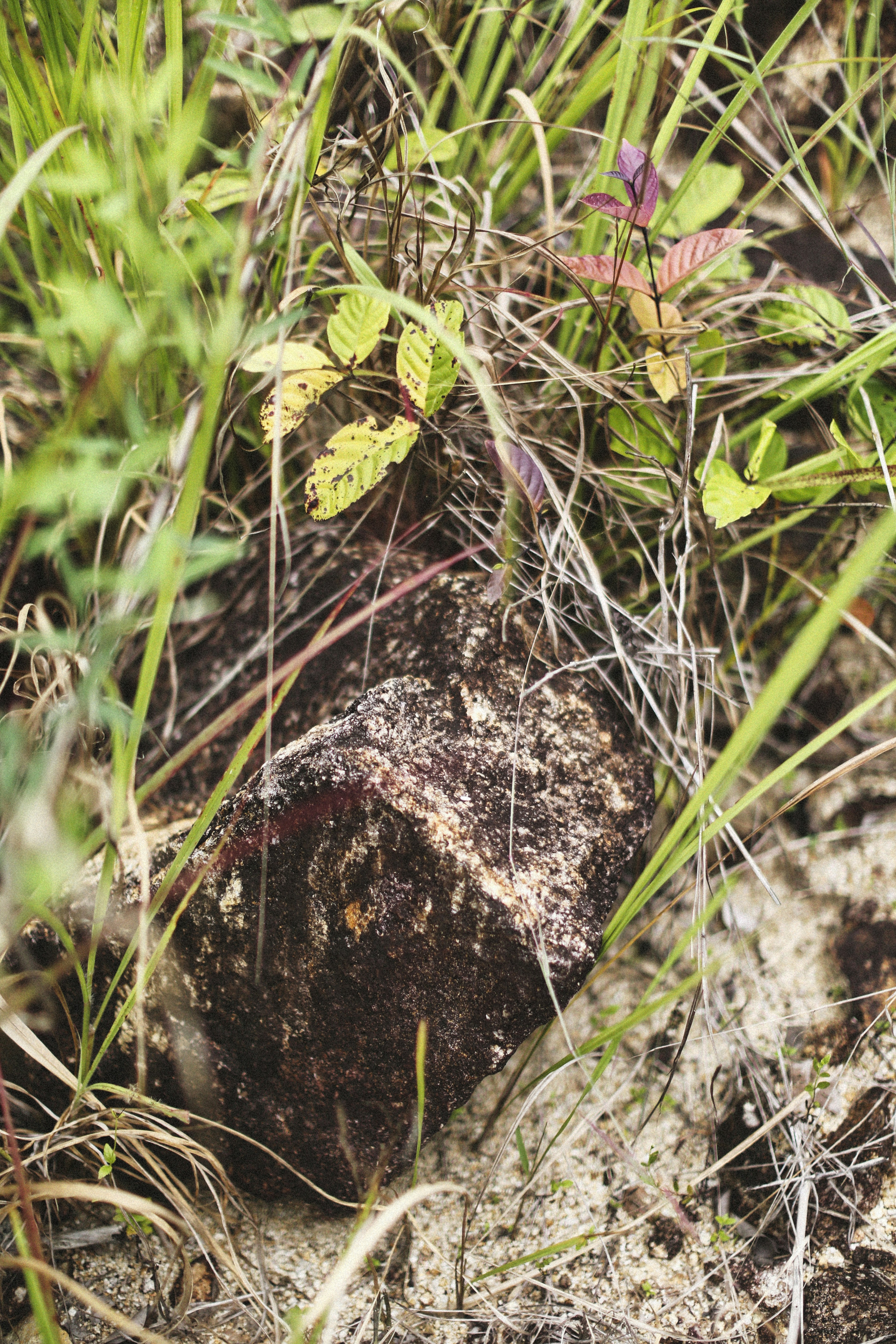 Photo by alexeydemidov