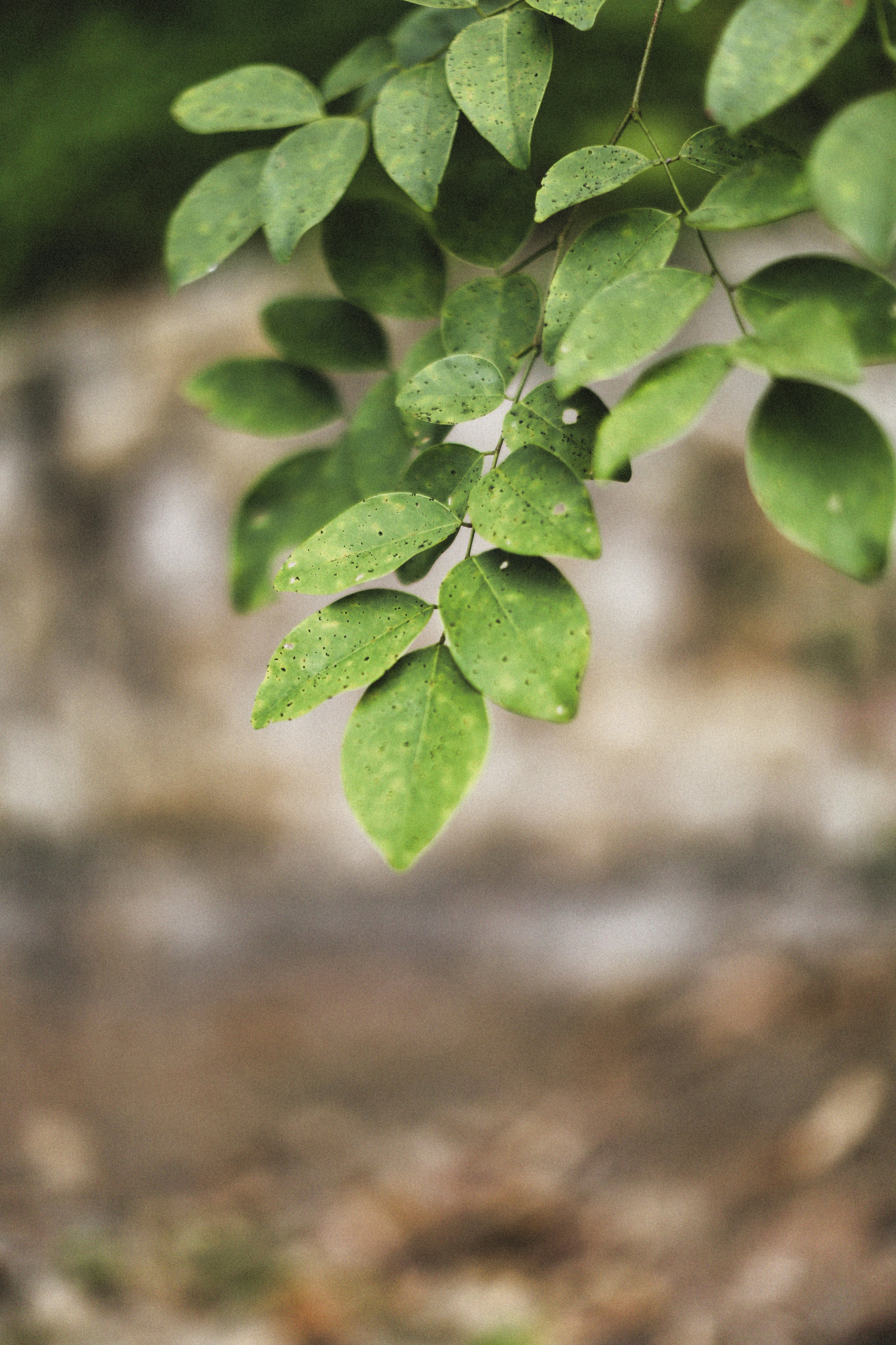 Photo by alexeydemidov