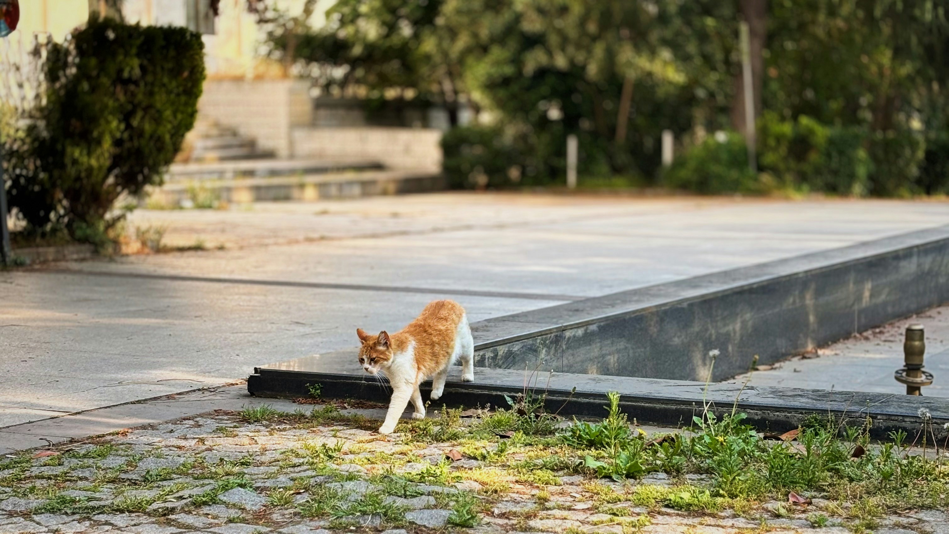 Photo by ismailcaner