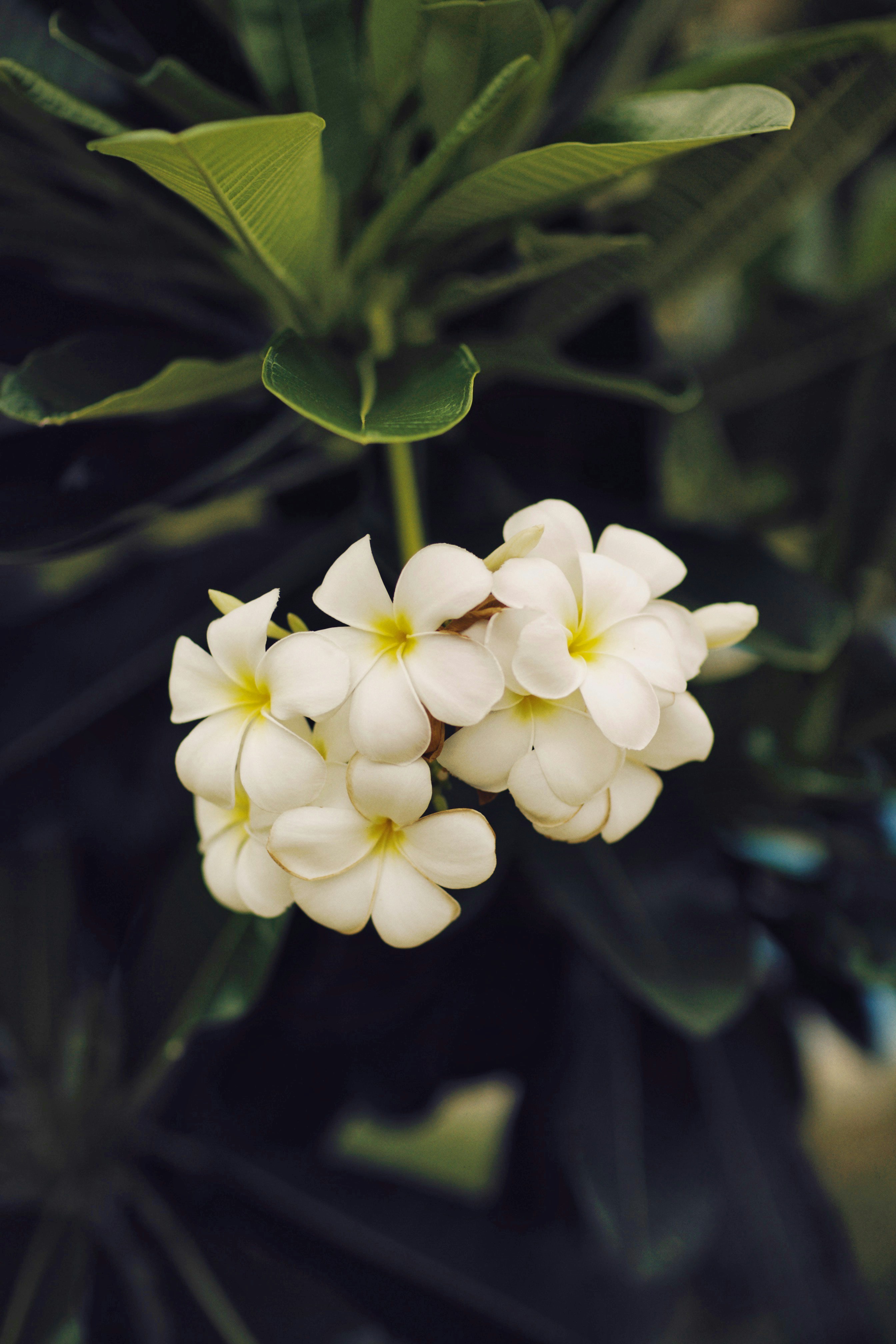 Photo by alexeydemidov