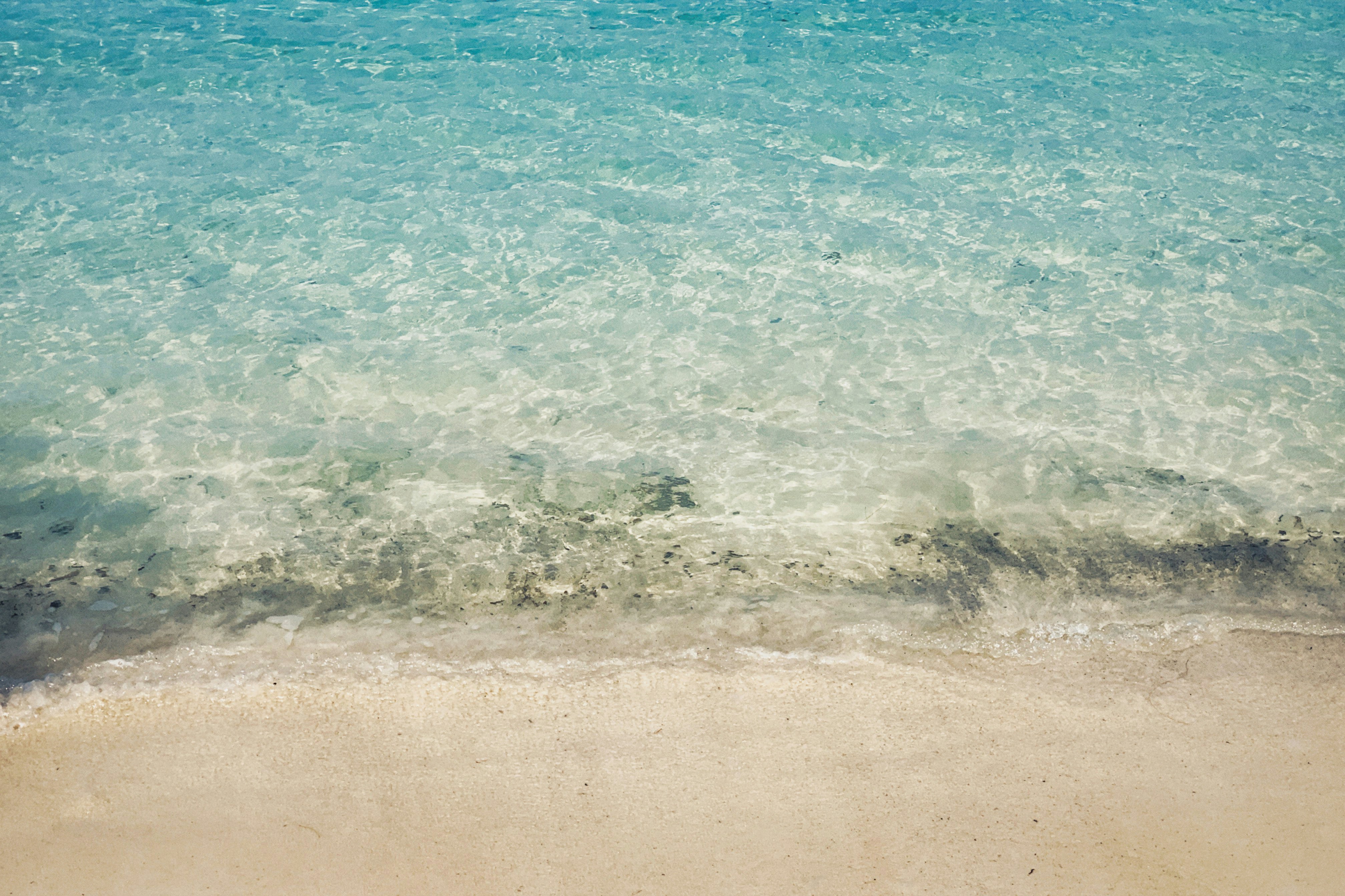 Photo by alexeydemidov