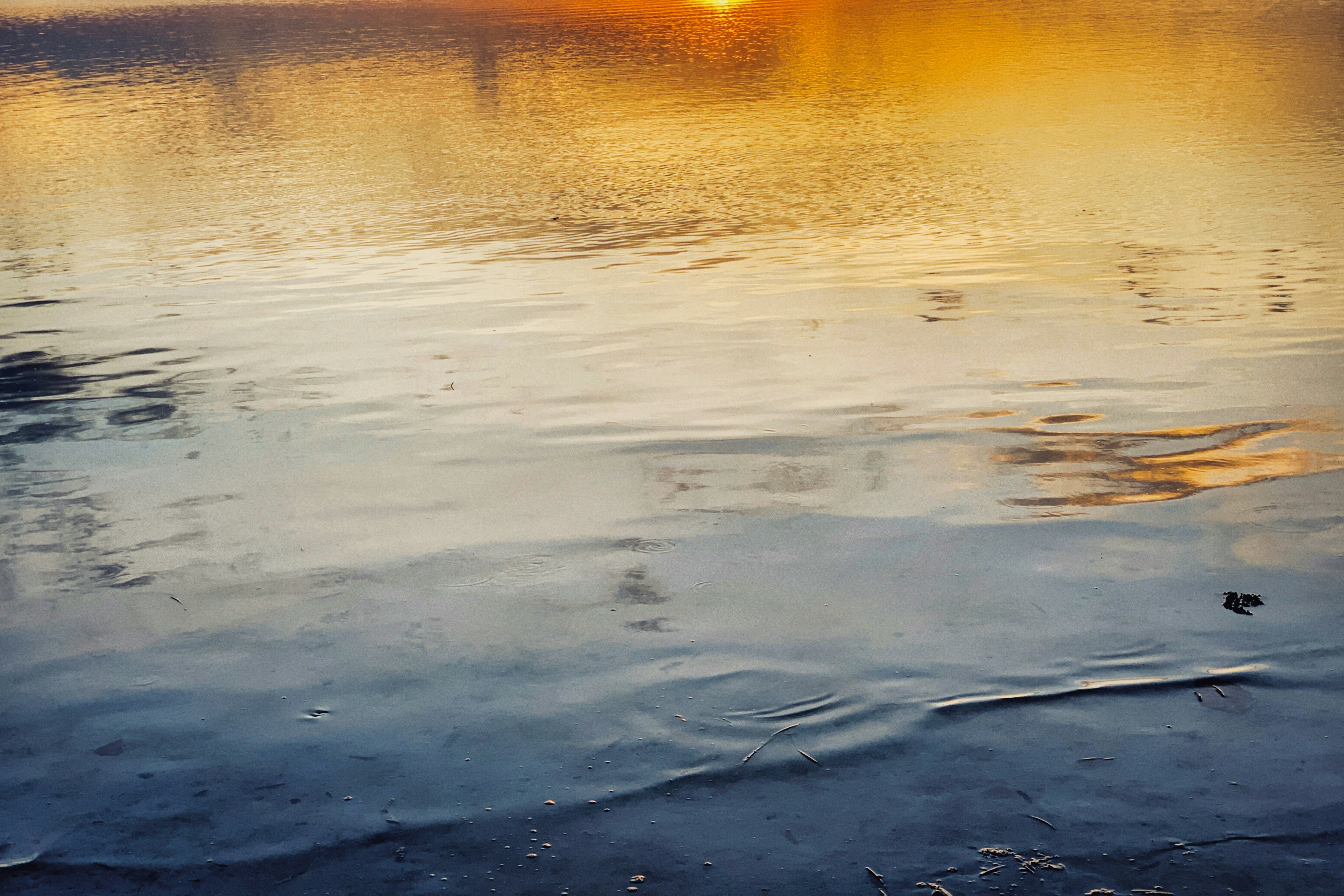 Photo by alexeydemidov