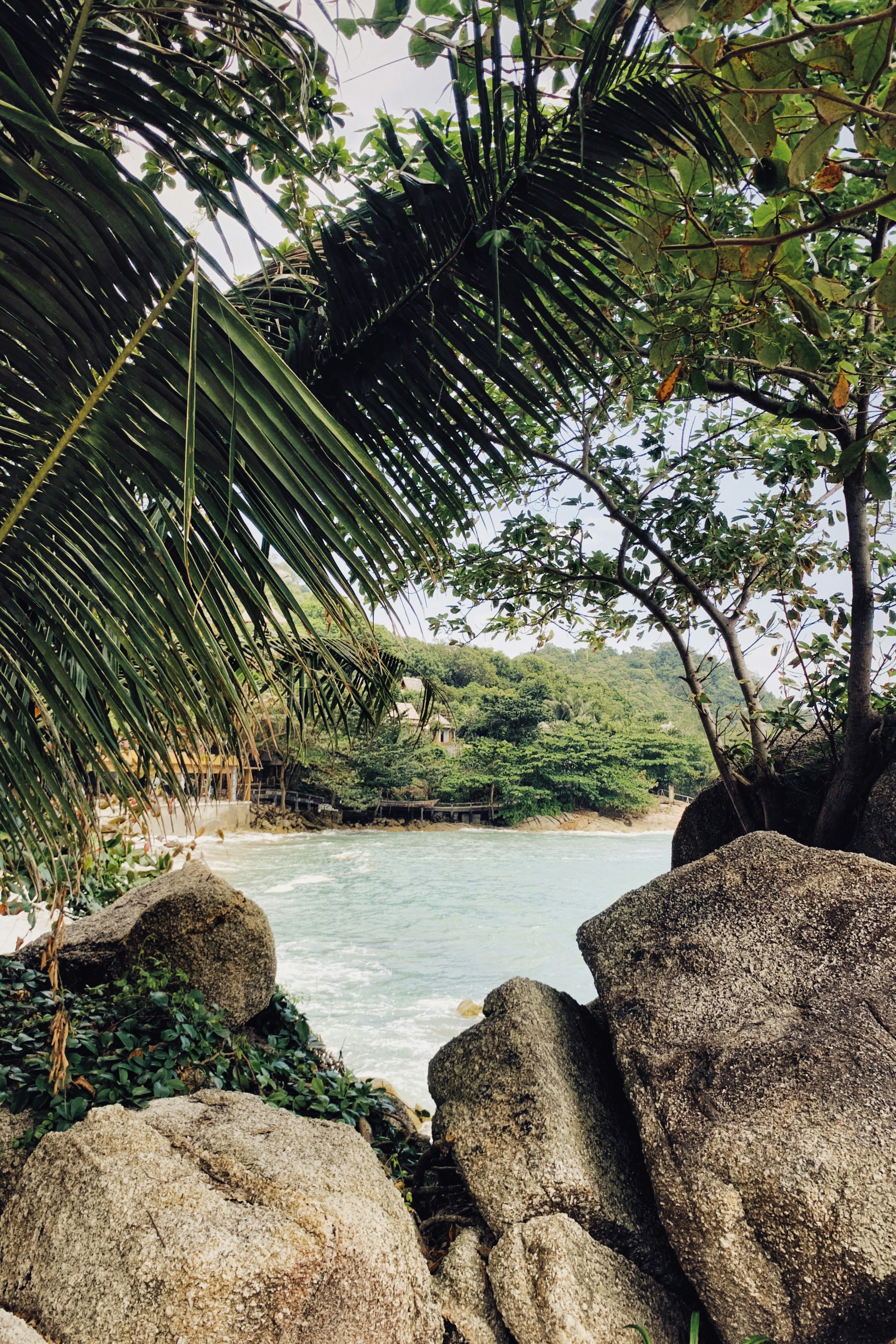 Photo by alexeydemidov