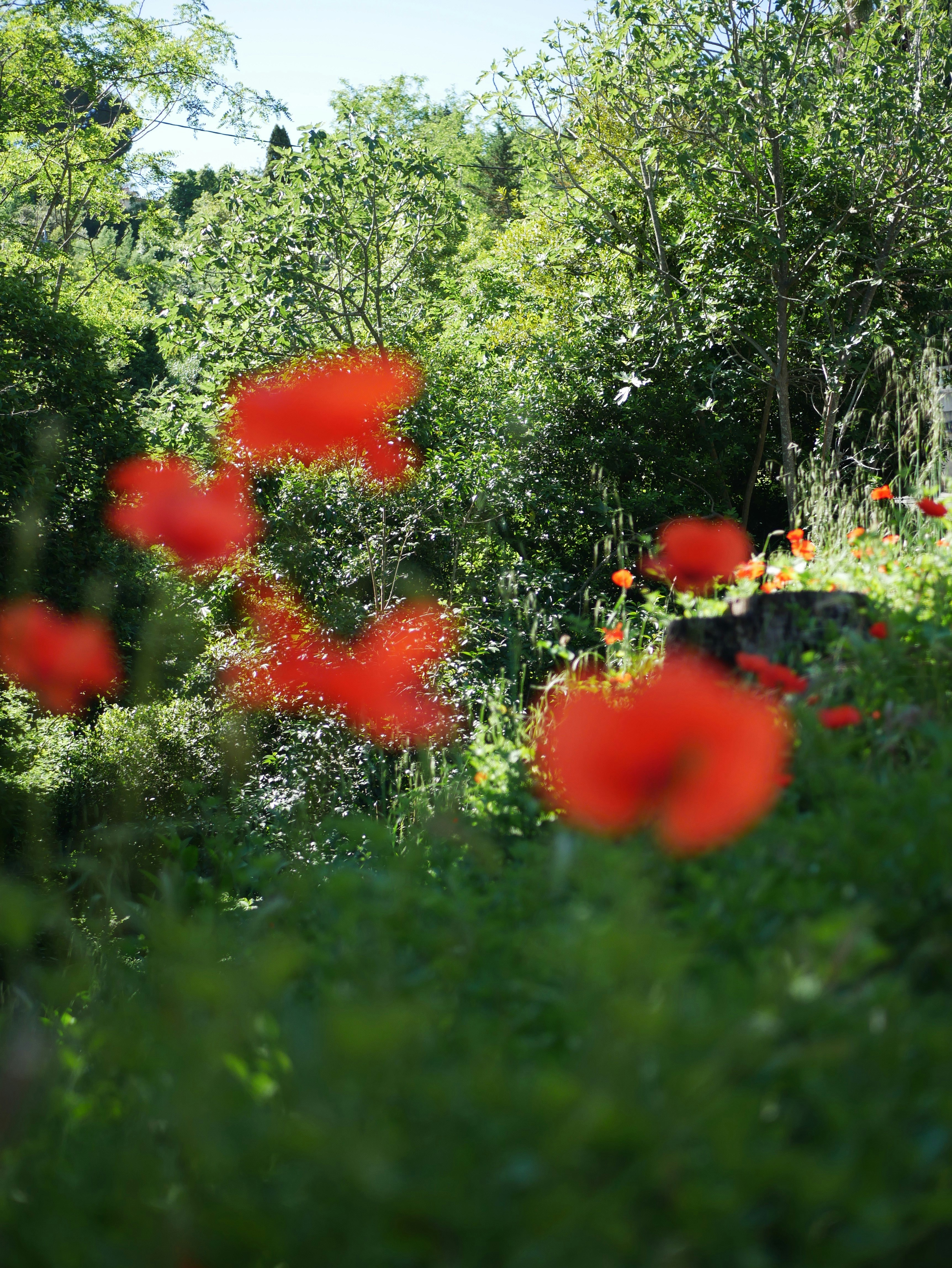 Photo by agnesbarraud