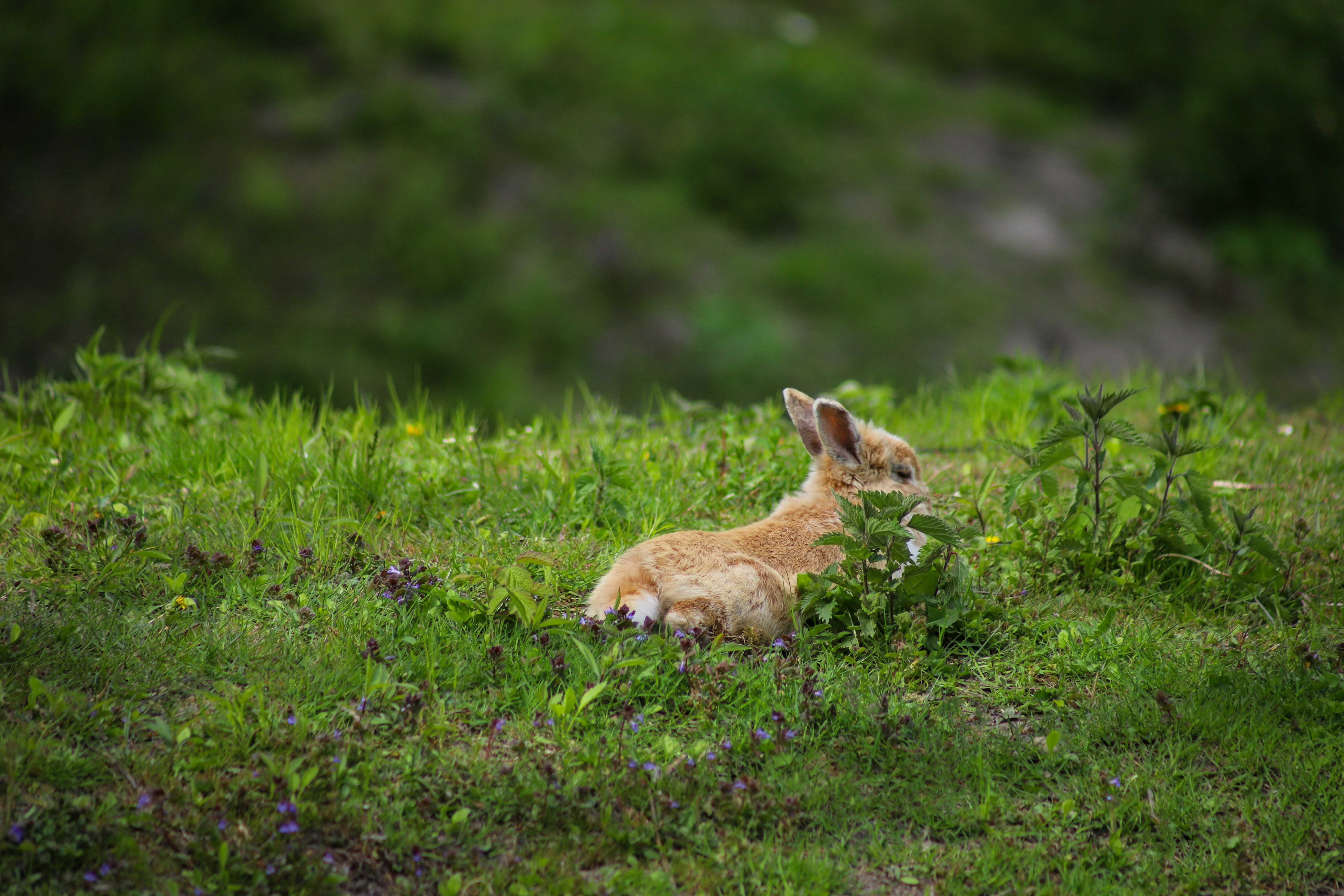 Photo by jessemortal