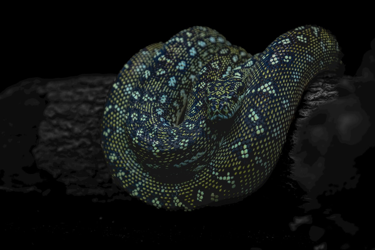 До чого сниться змія: тлумачення за сонниками Міллера та Ванги