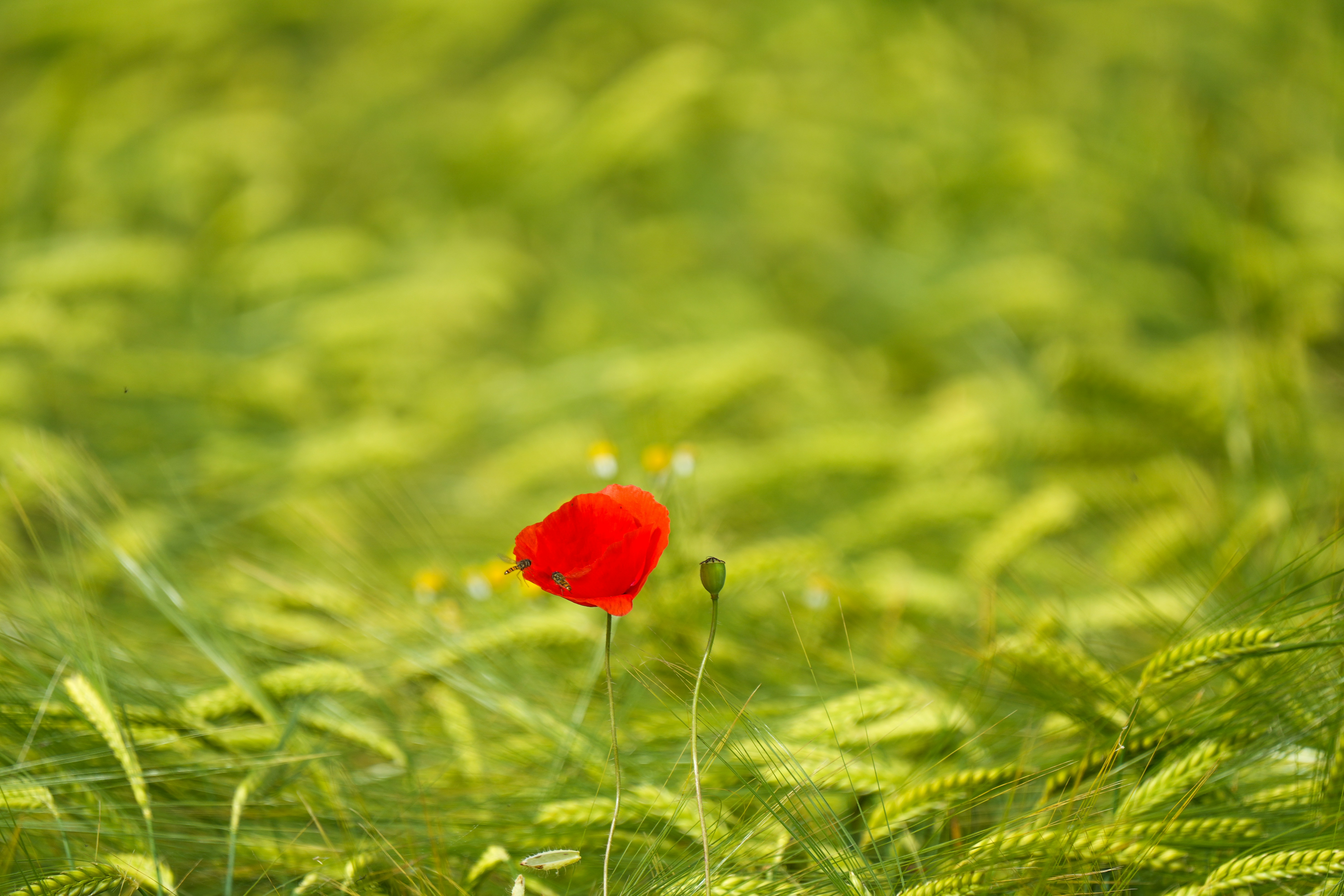 Photo by 3kolone