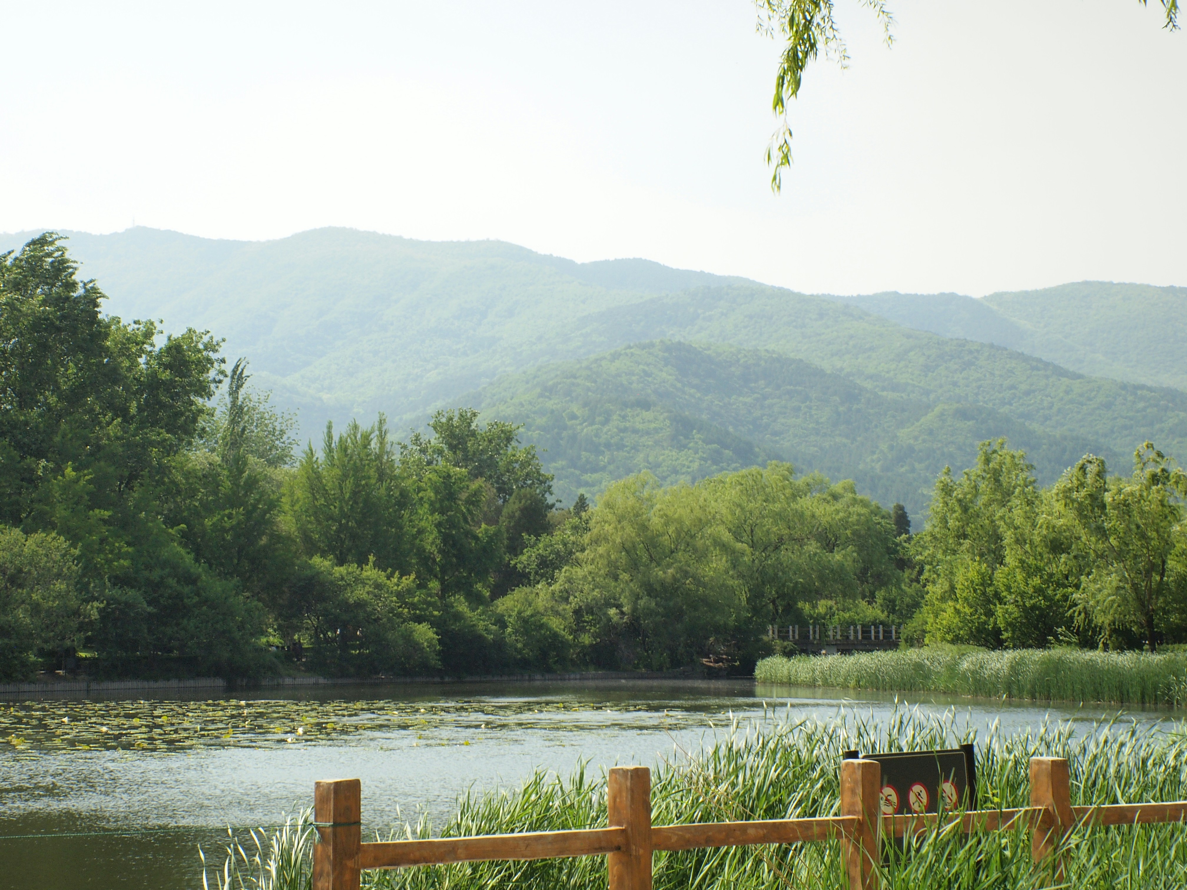 Photo by shawnieyang0606