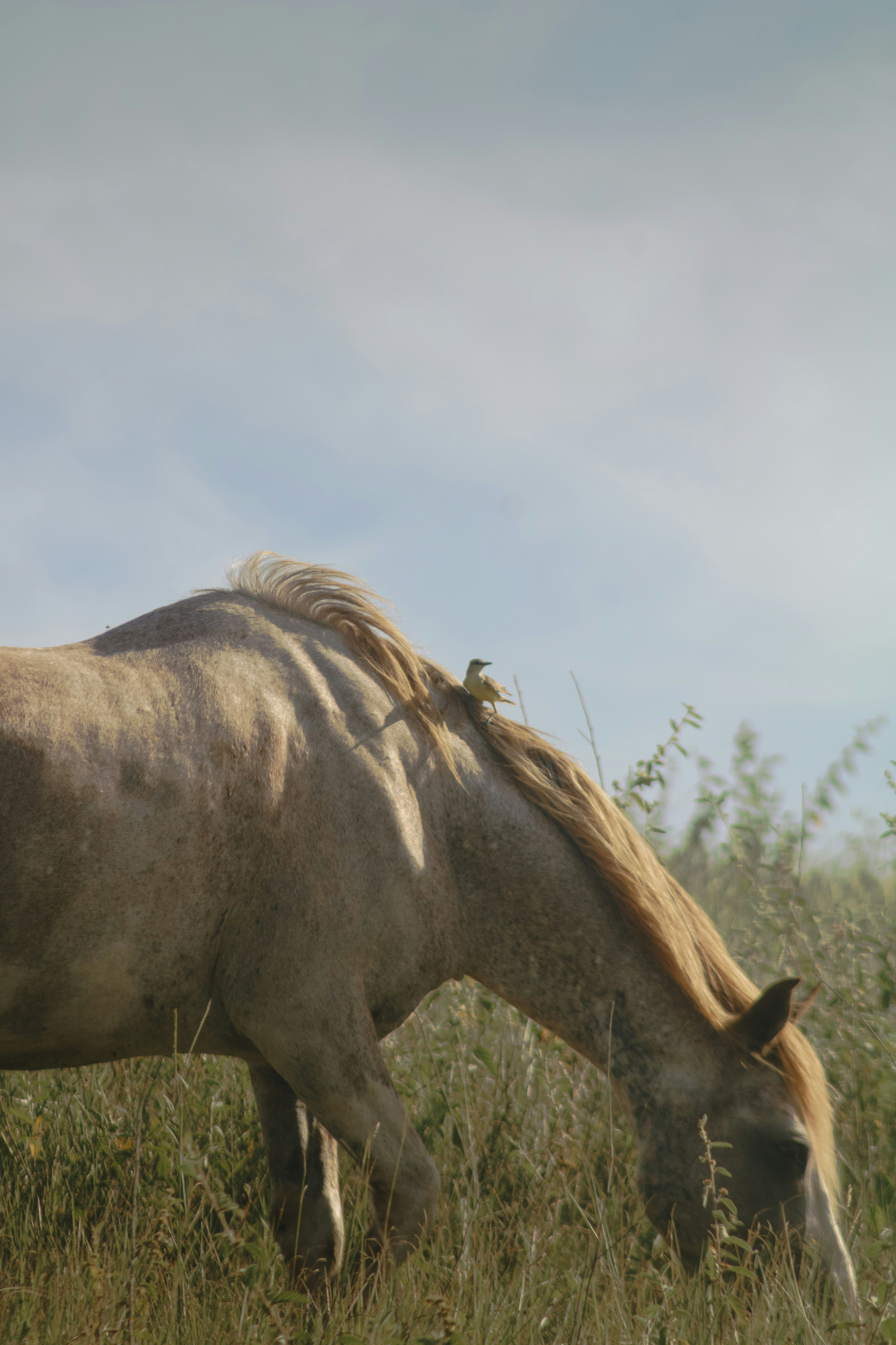 Photo by alvaro_juliao7