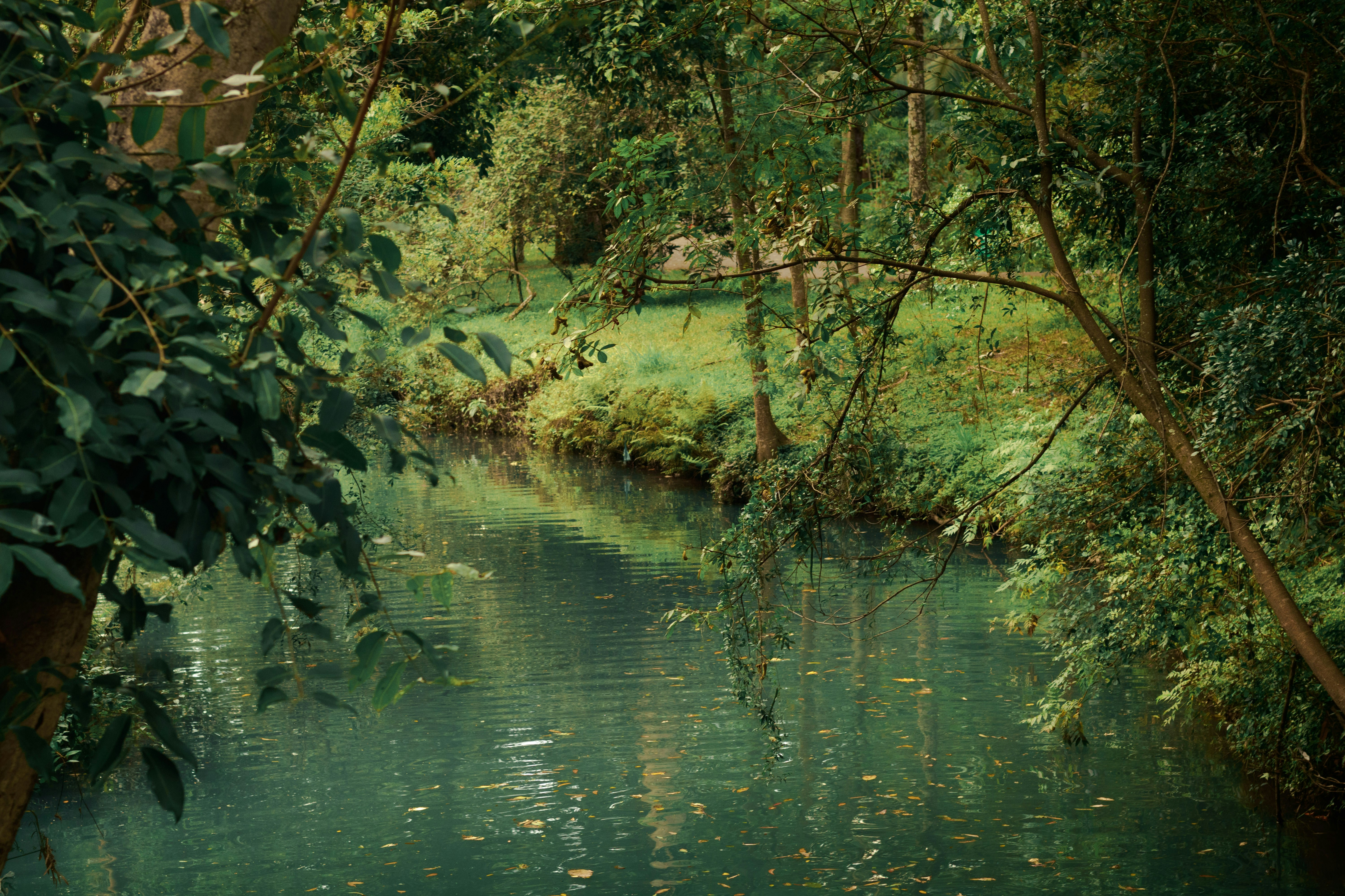 Photo by alvaro_juliao7