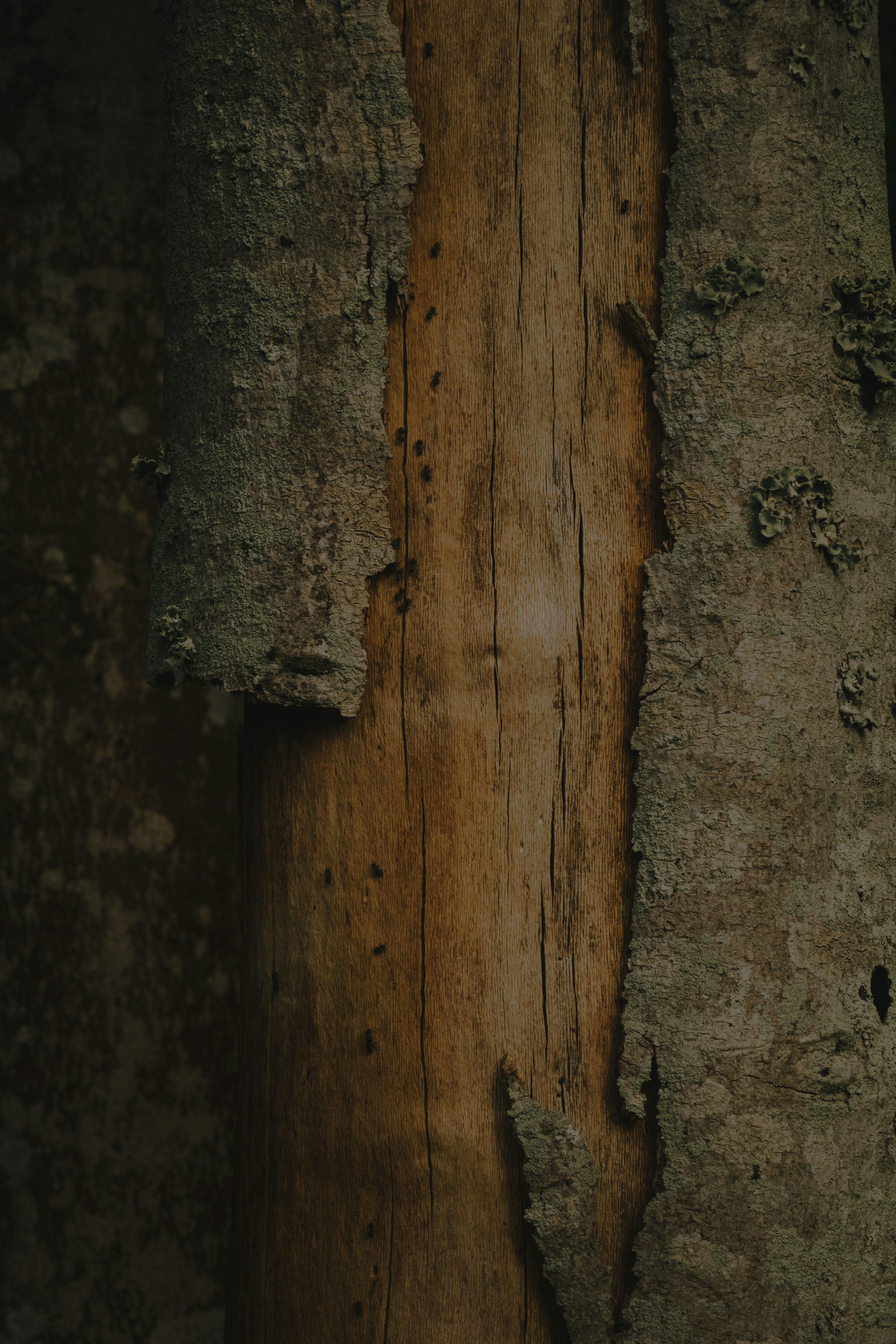 Photo by alvaro_juliao7