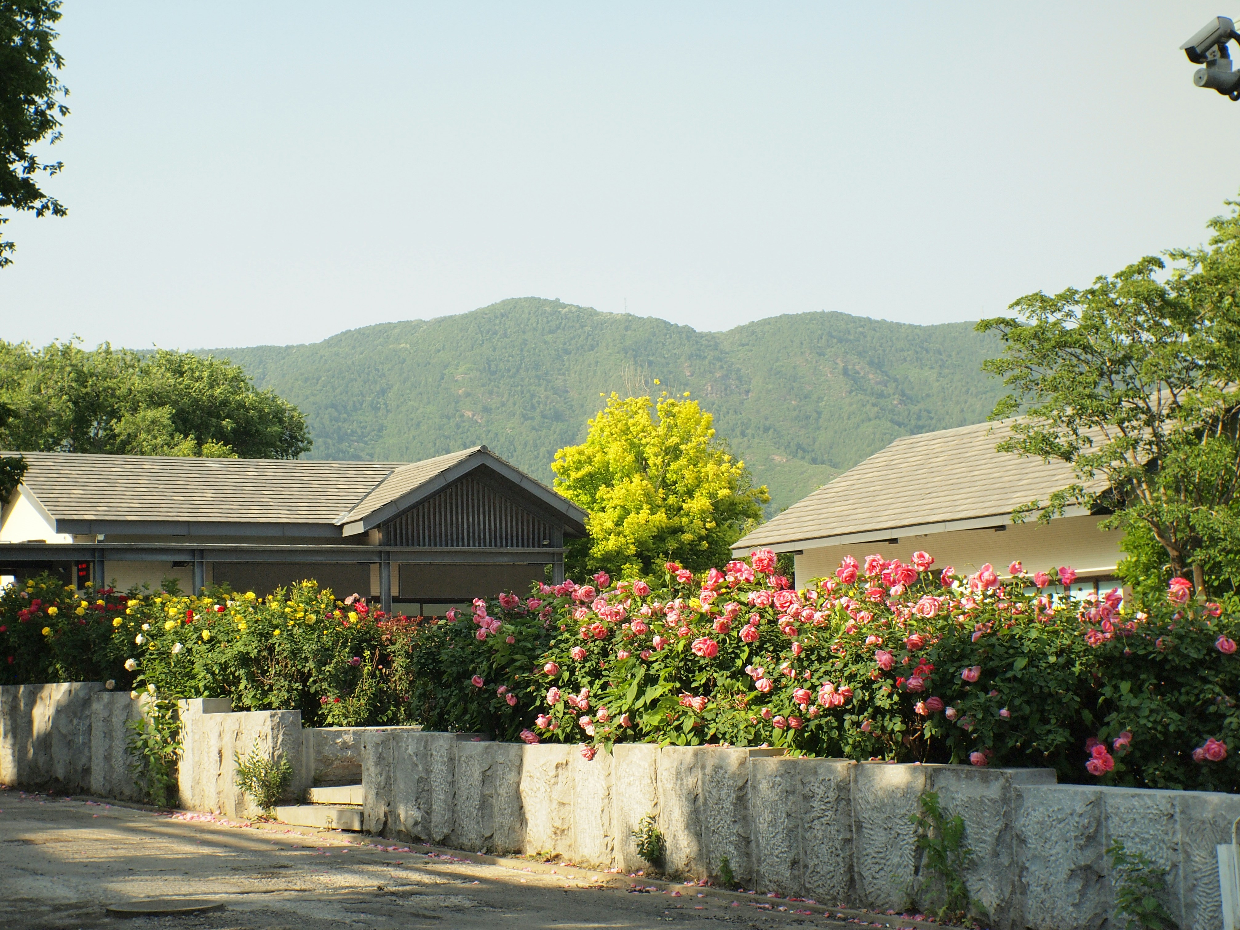 Shin Kong Chao Feng Ranch and Resort photo 2