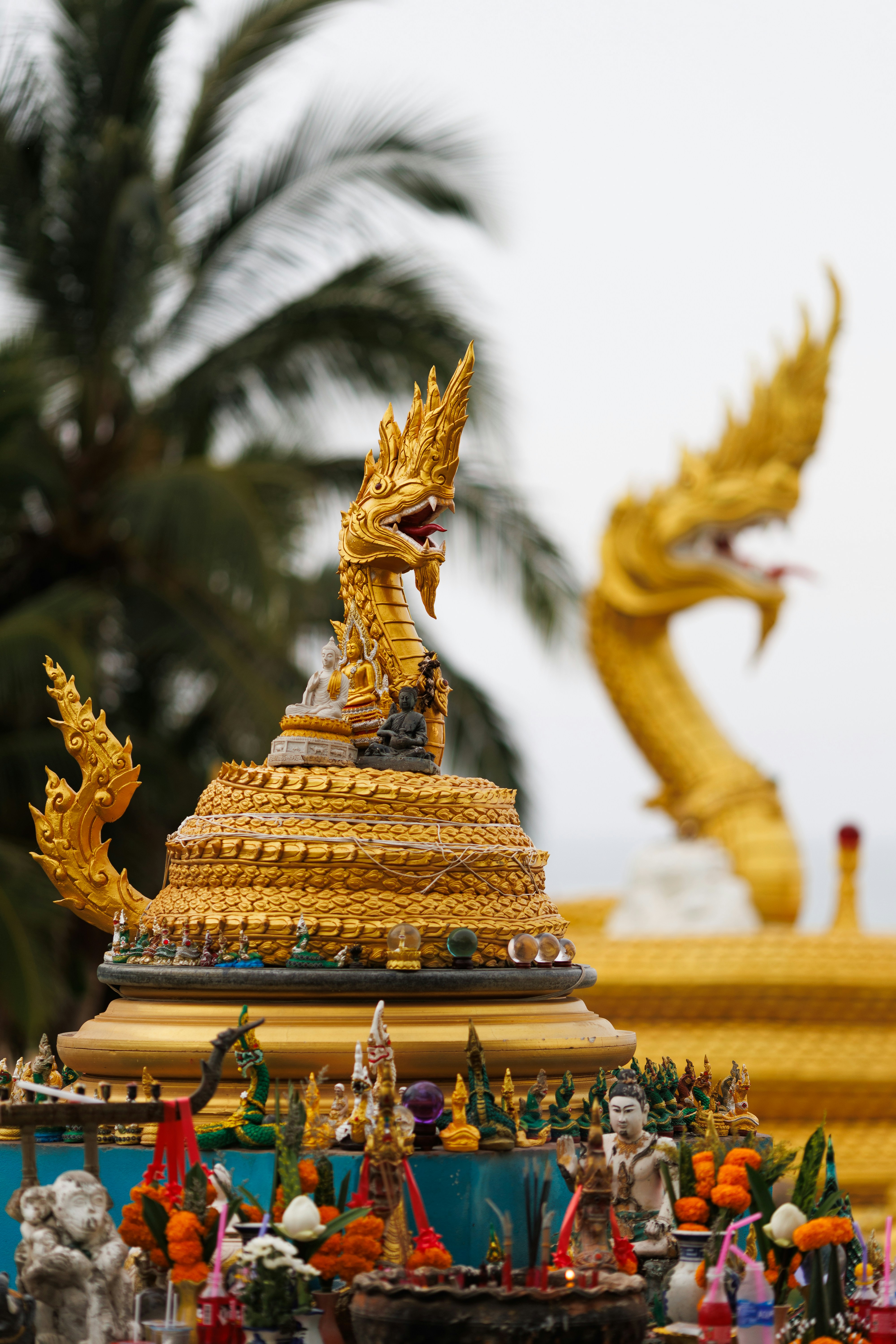 Golden dragon statues grace a religious shrine. photo – Free Palm trees ...