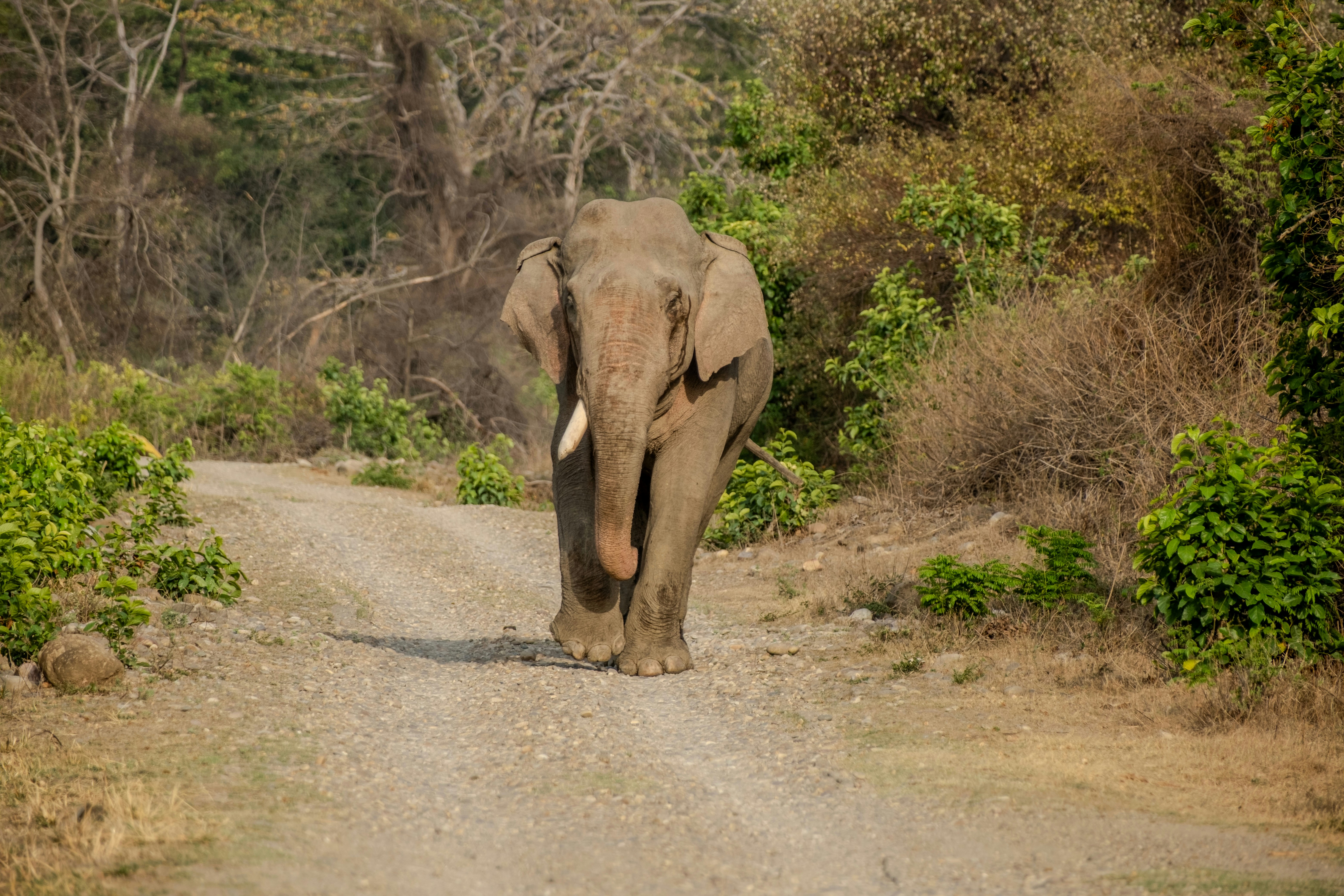 Photo by ishootiniphone