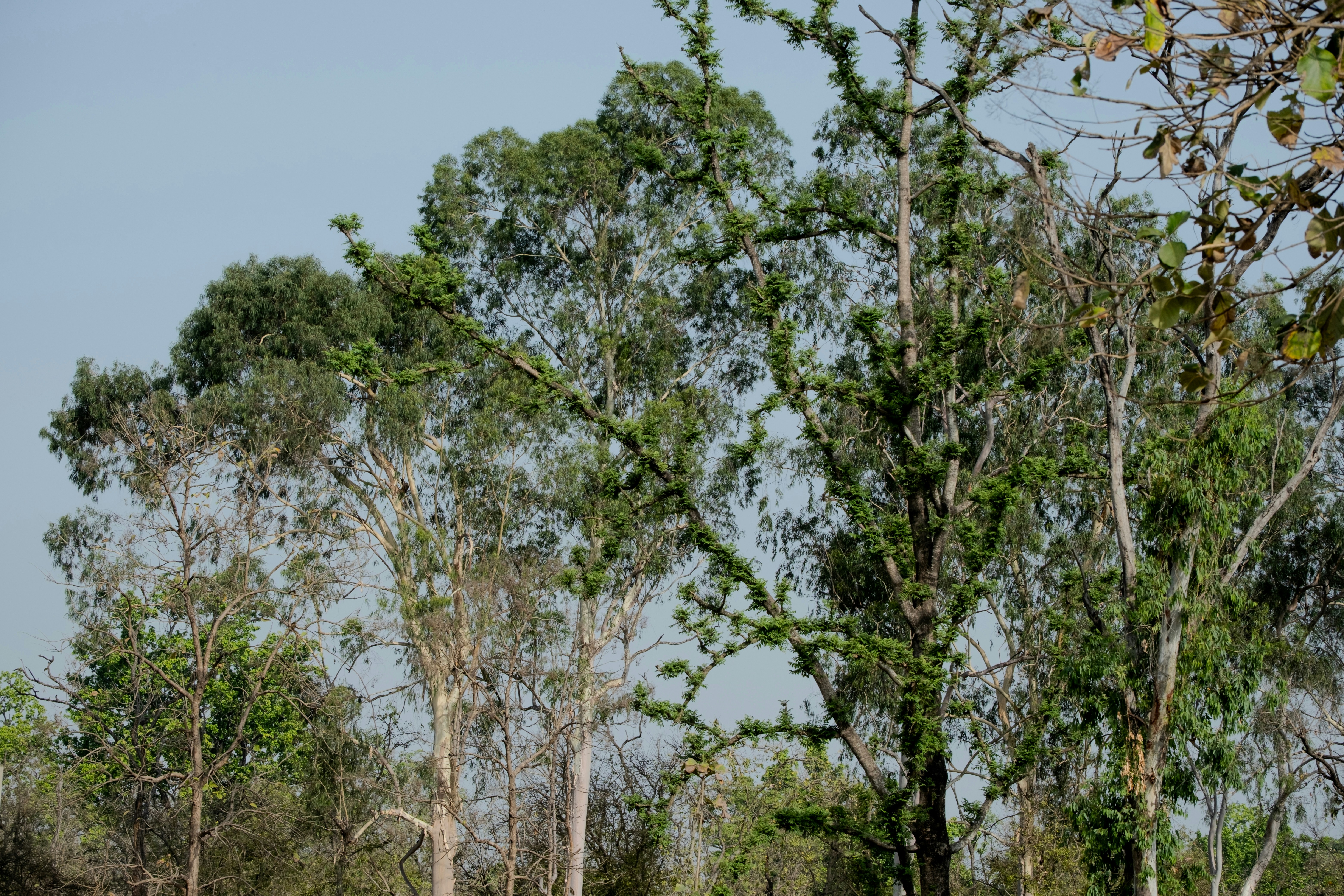 Photo by ishootiniphone