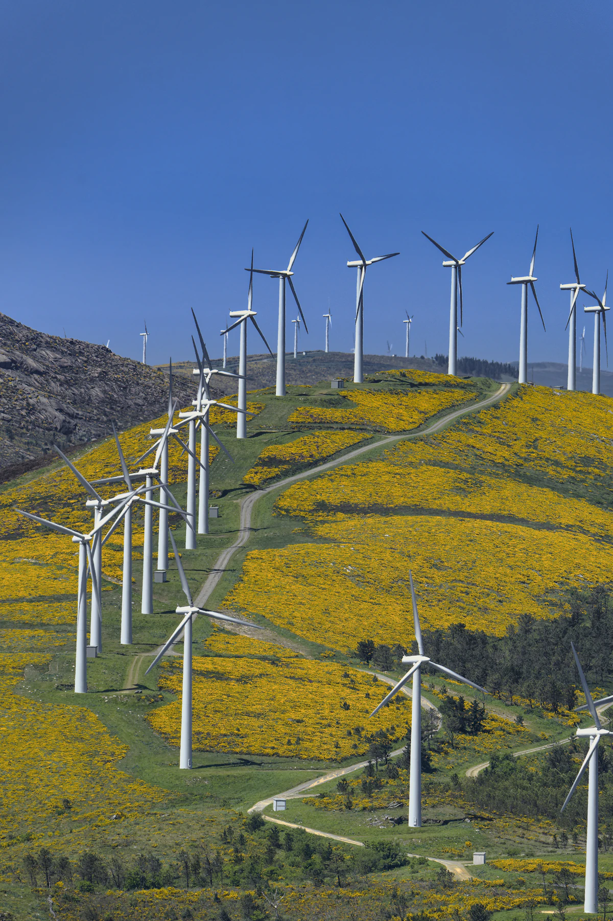 Turbinas eólicas — compromiso de CMP Consultoría con la gestión ambiental ISO 14001