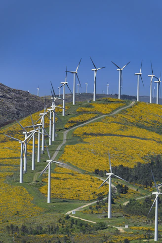 Wind turbines generate clean energy on a beautiful landscape.