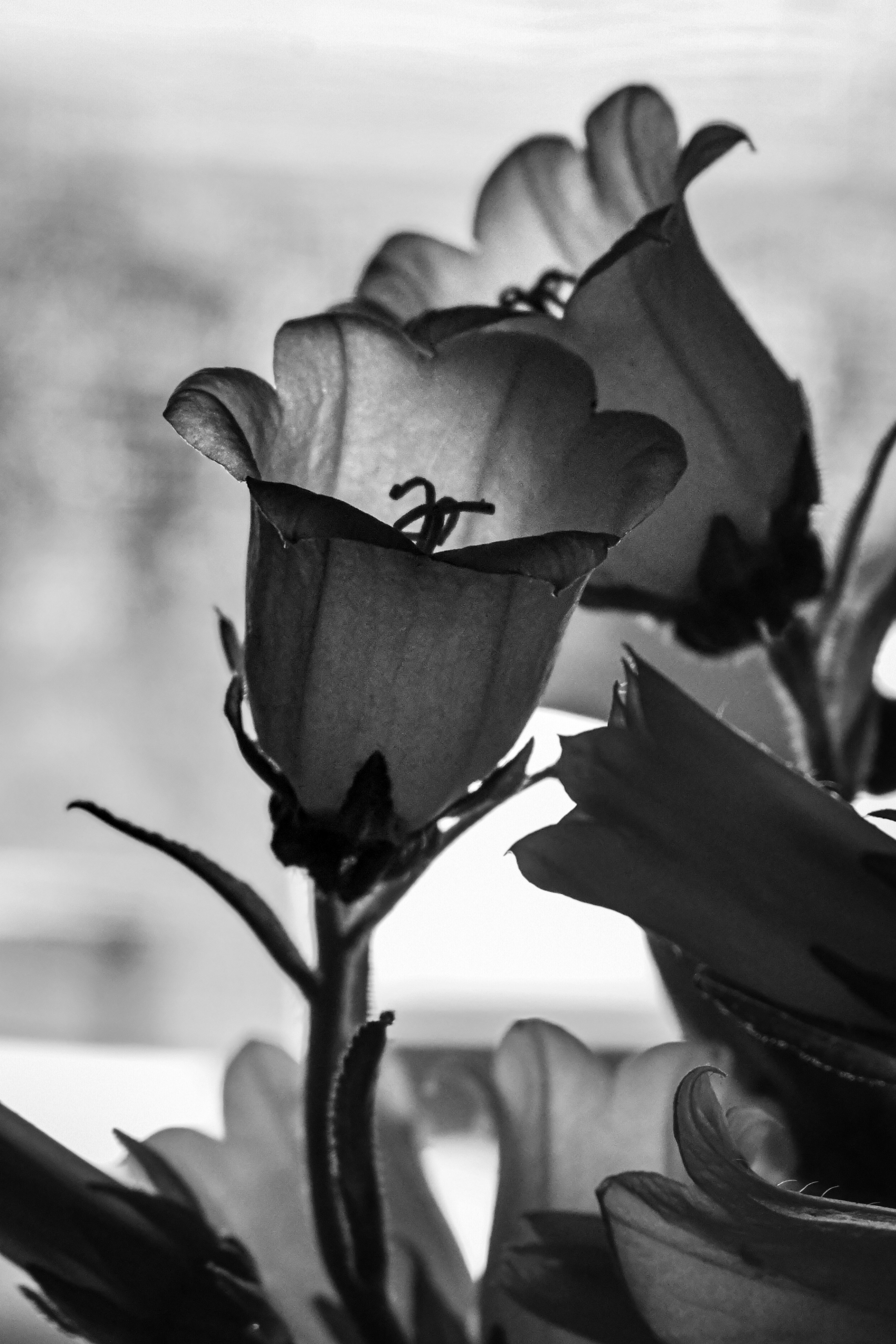 Photo by elisastonephotography