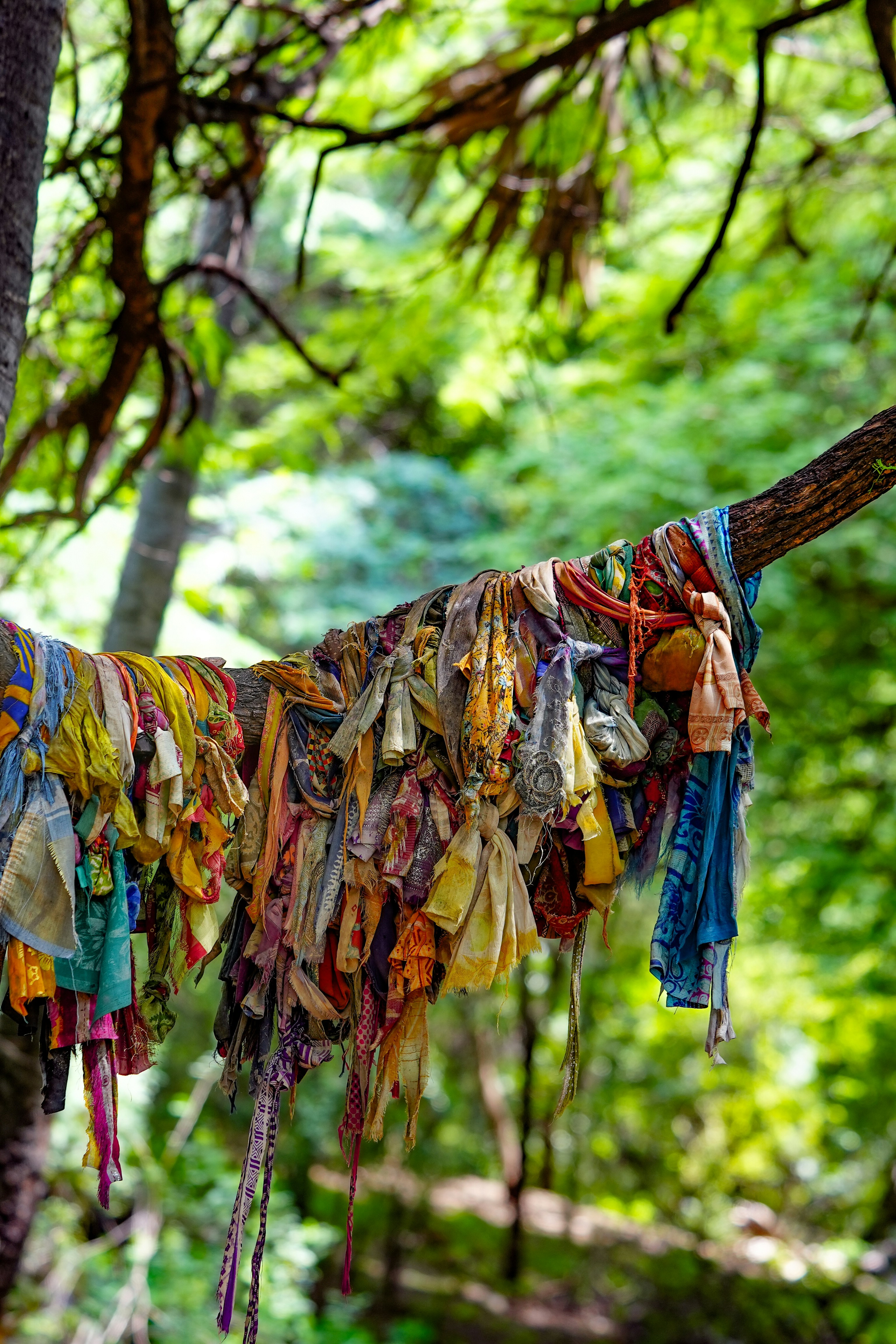 Photo by littlemissbee